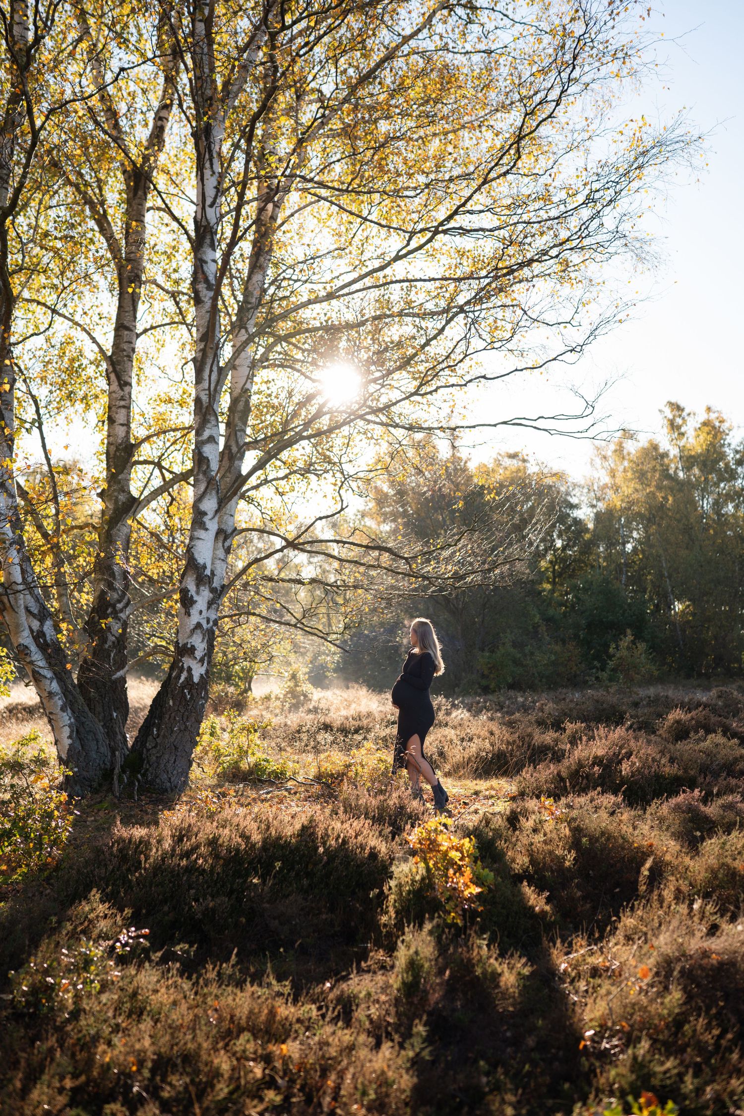 Series of silhouettes against sunlit trees showing playful moments in a heather-covered landscape.