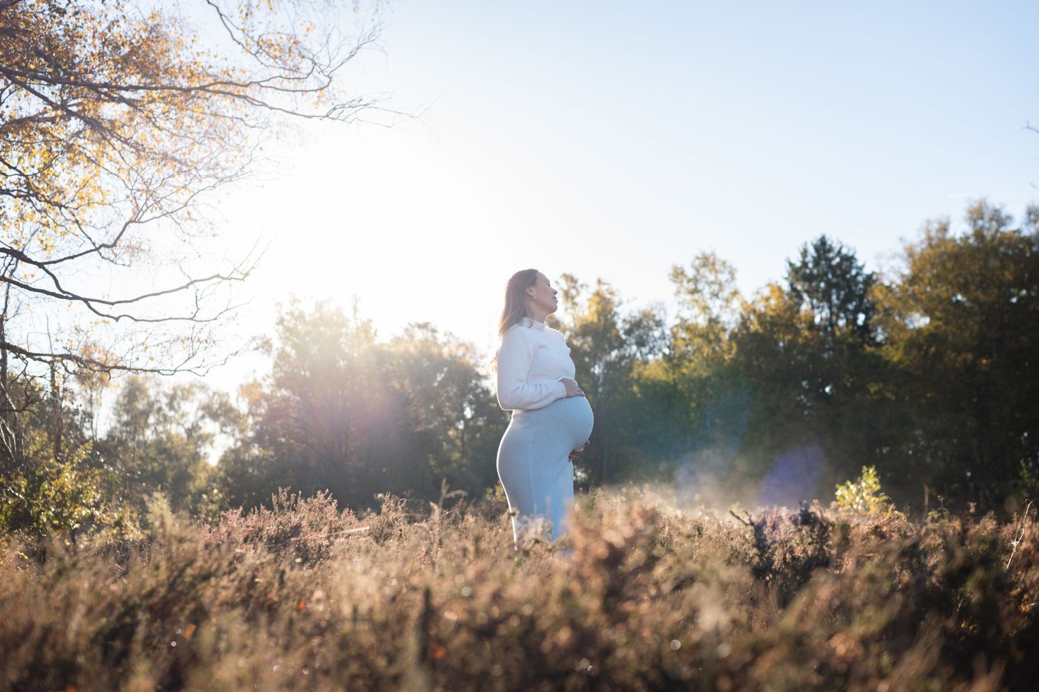 A person stands alone in a sunlit field of purple heather during golden hour.