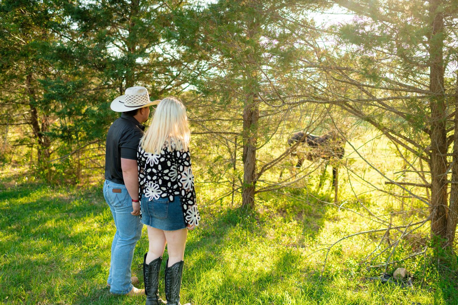 Couple holding hands while gazing at sunlit forest during outdoor engagement photo session.