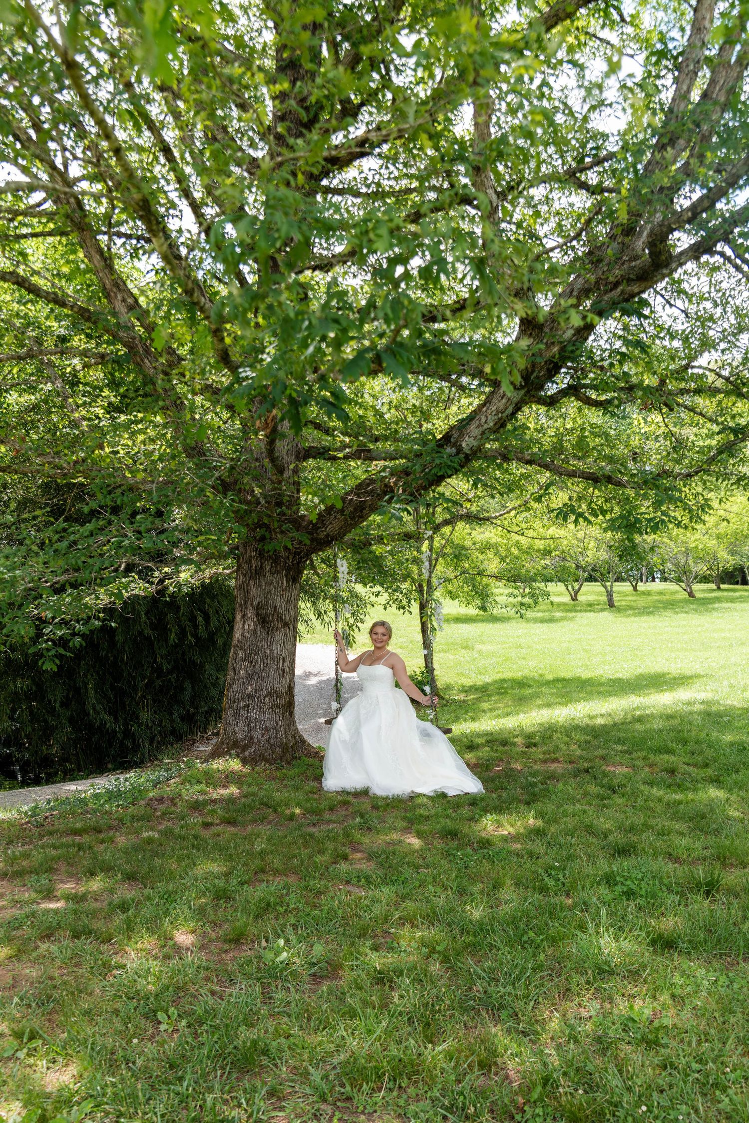 Bride in a white gown sits on a swing beneath a large sprawling tree in a sunny green park.
