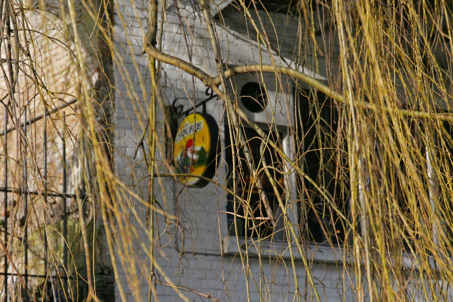 Low hanging branches obscure a sign for a store on the river in Ghent, Belgium.