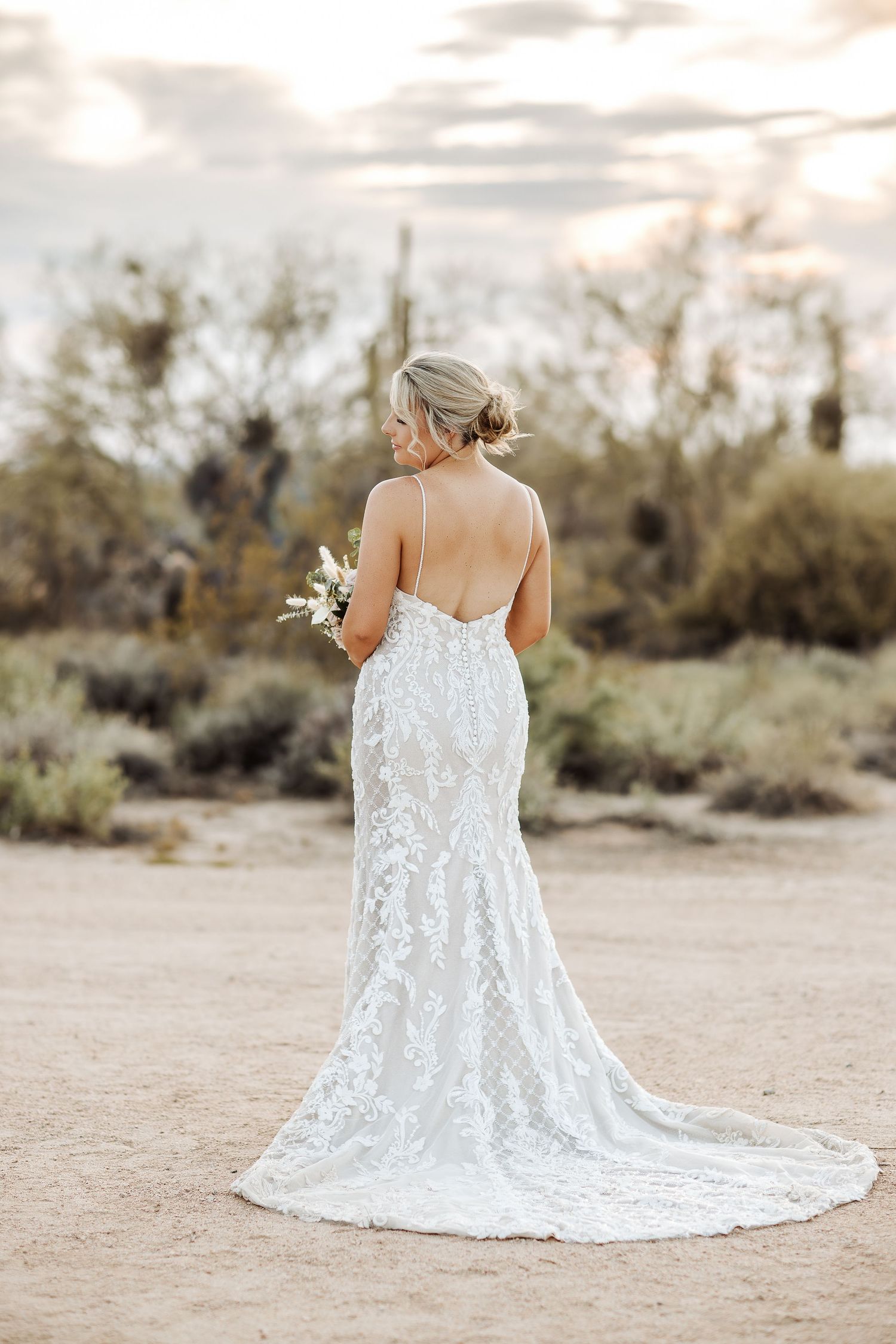 Back view of a bride in a fitted lace wedding gown with train standing in a desert landscape at sunset.