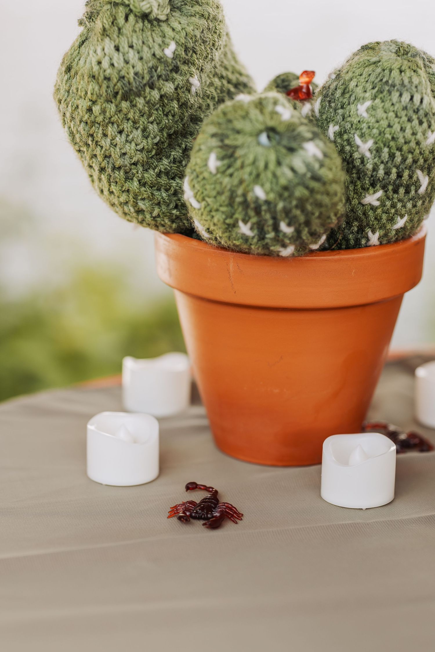 Green succulent plants displayed in orange terracotta pots on a light surface.