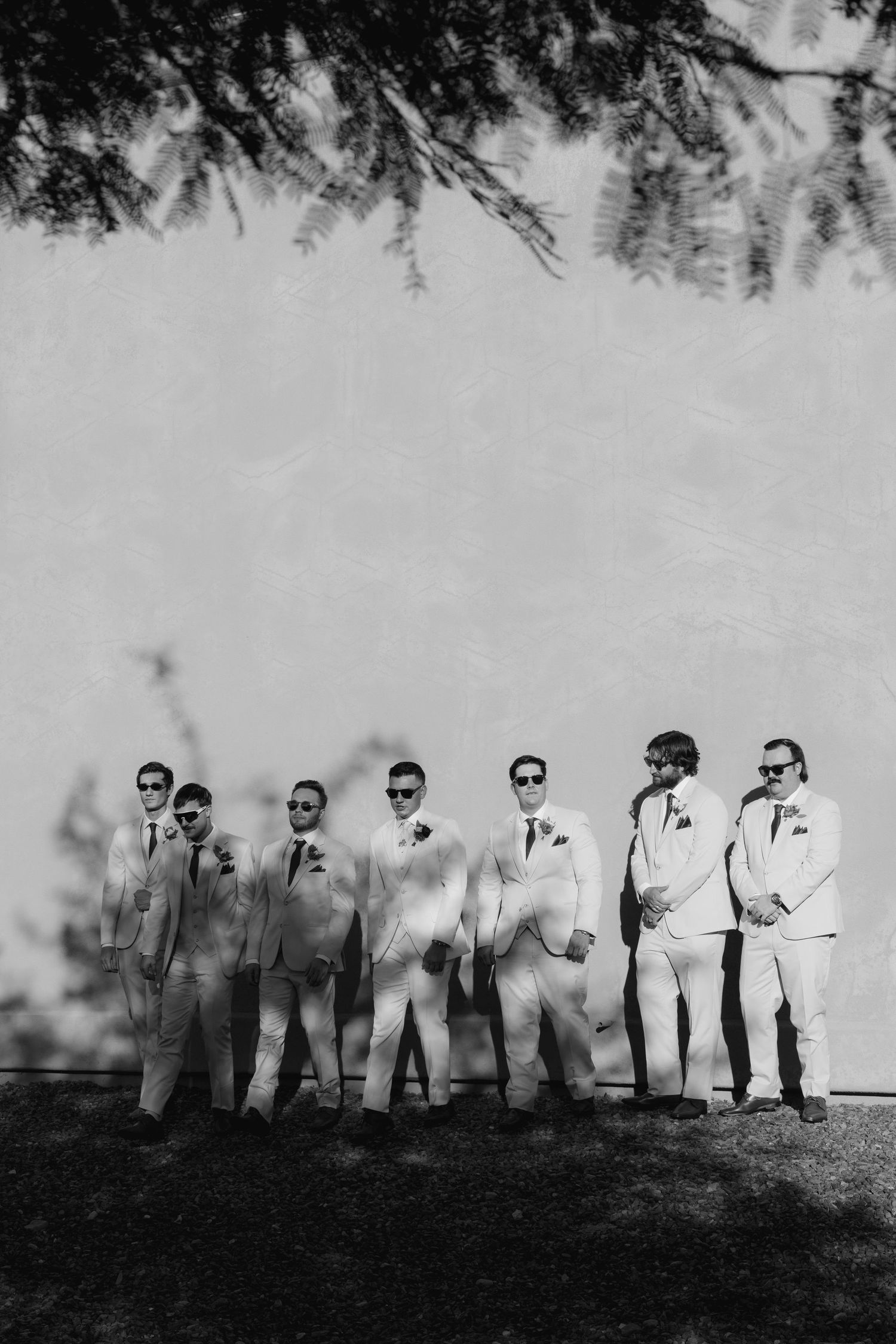 A black and white silhouette photo of a wedding party lined up under tree branches.