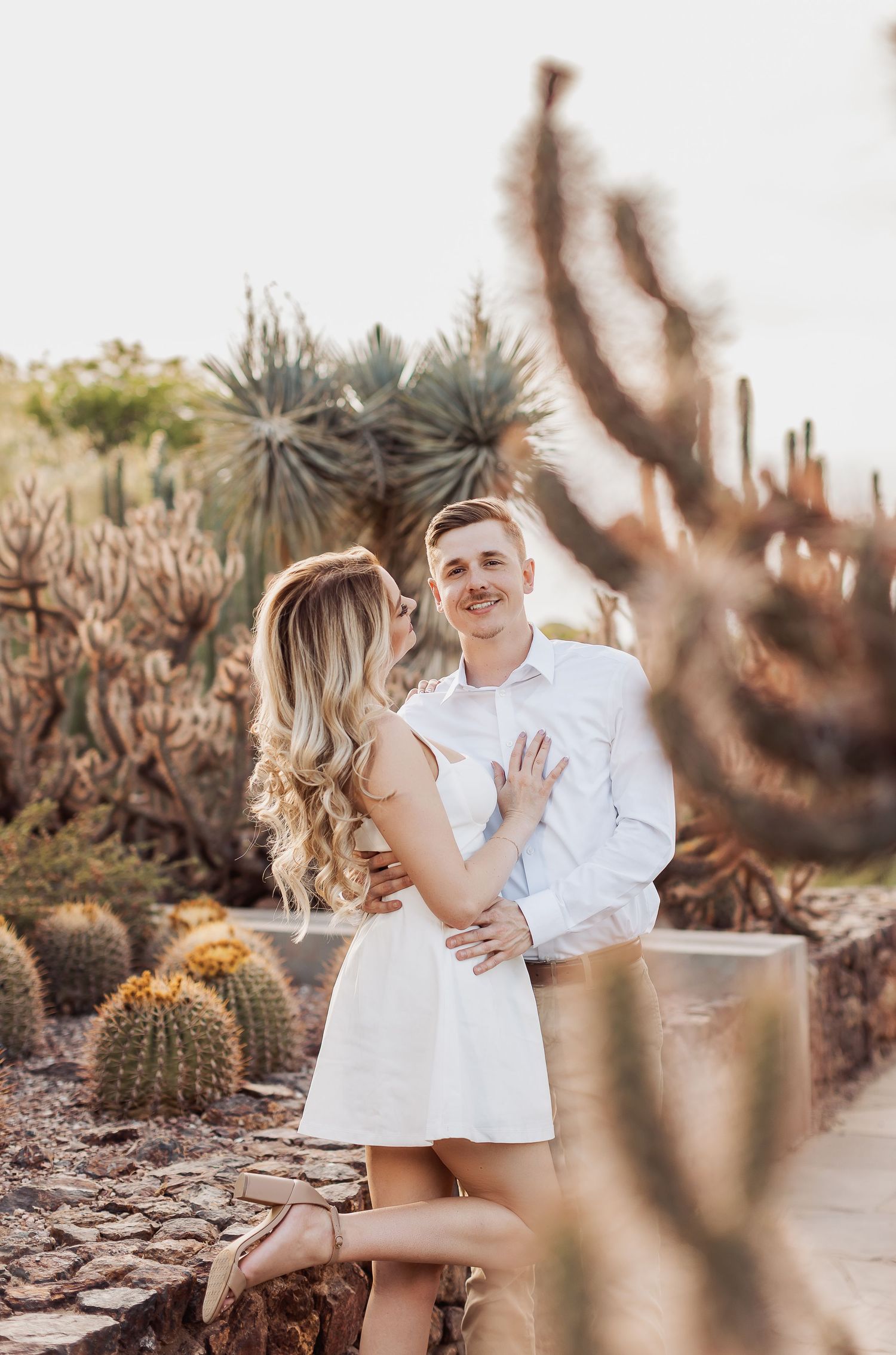 A romantic desert engagement shoot with a couple posing among blooming cactus and desert landscaping in the golden sunlight.