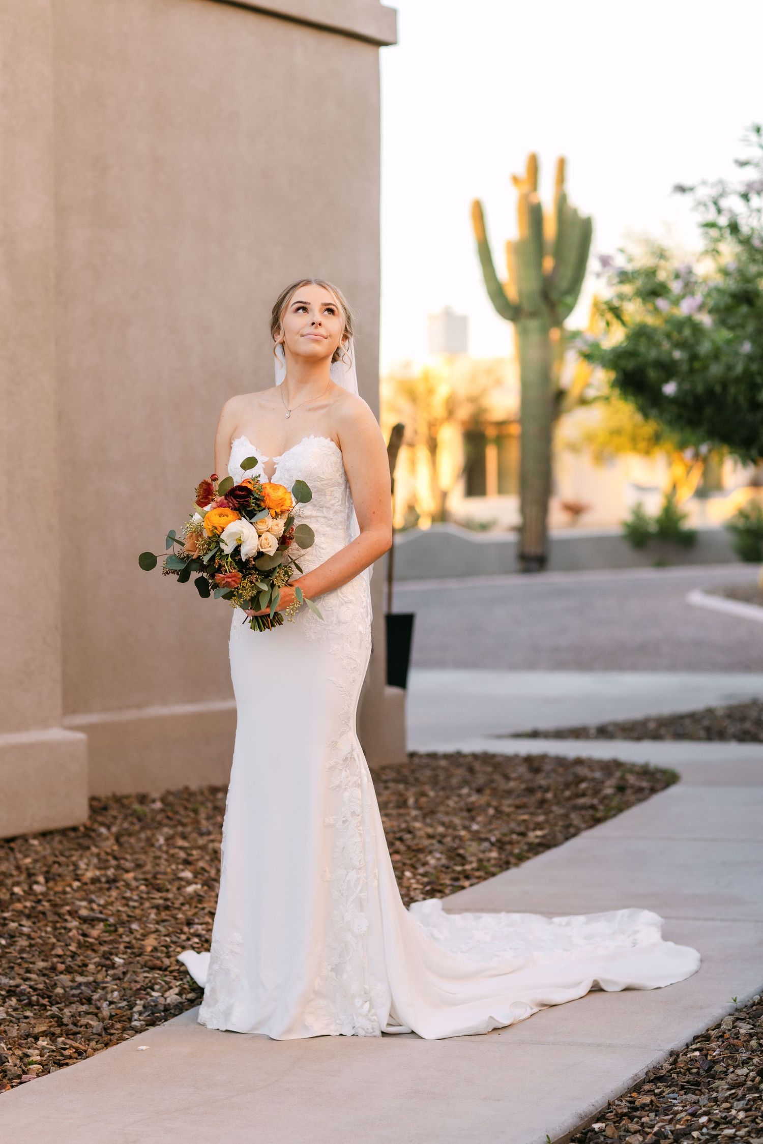 Elegant bridal portrait against desert backdrop with cactus and warm sunset lighting.