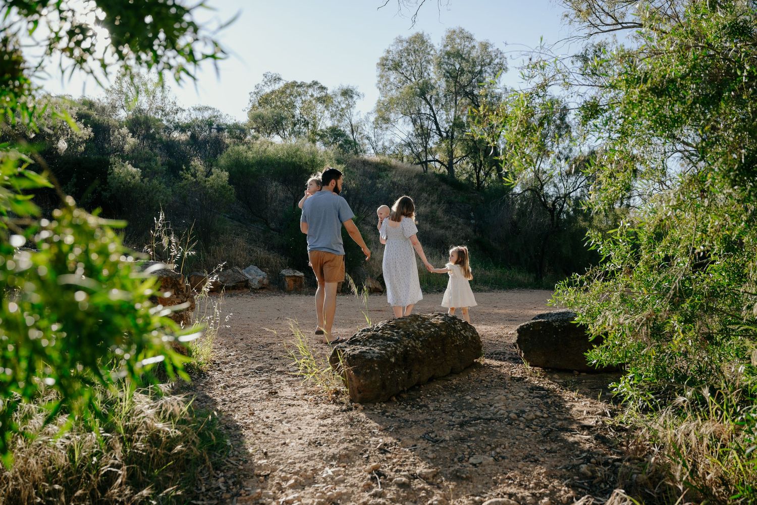 A scenic hiking trail winding through lush green trees and vegetation on a sunny day.
