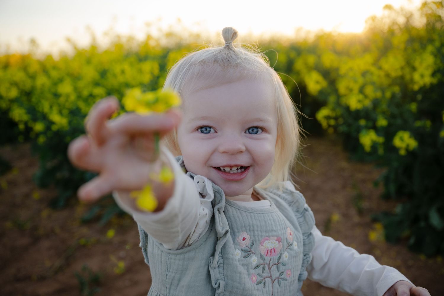 A collection of candid outdoor portraits at golden hour with a lush green field backdrop.