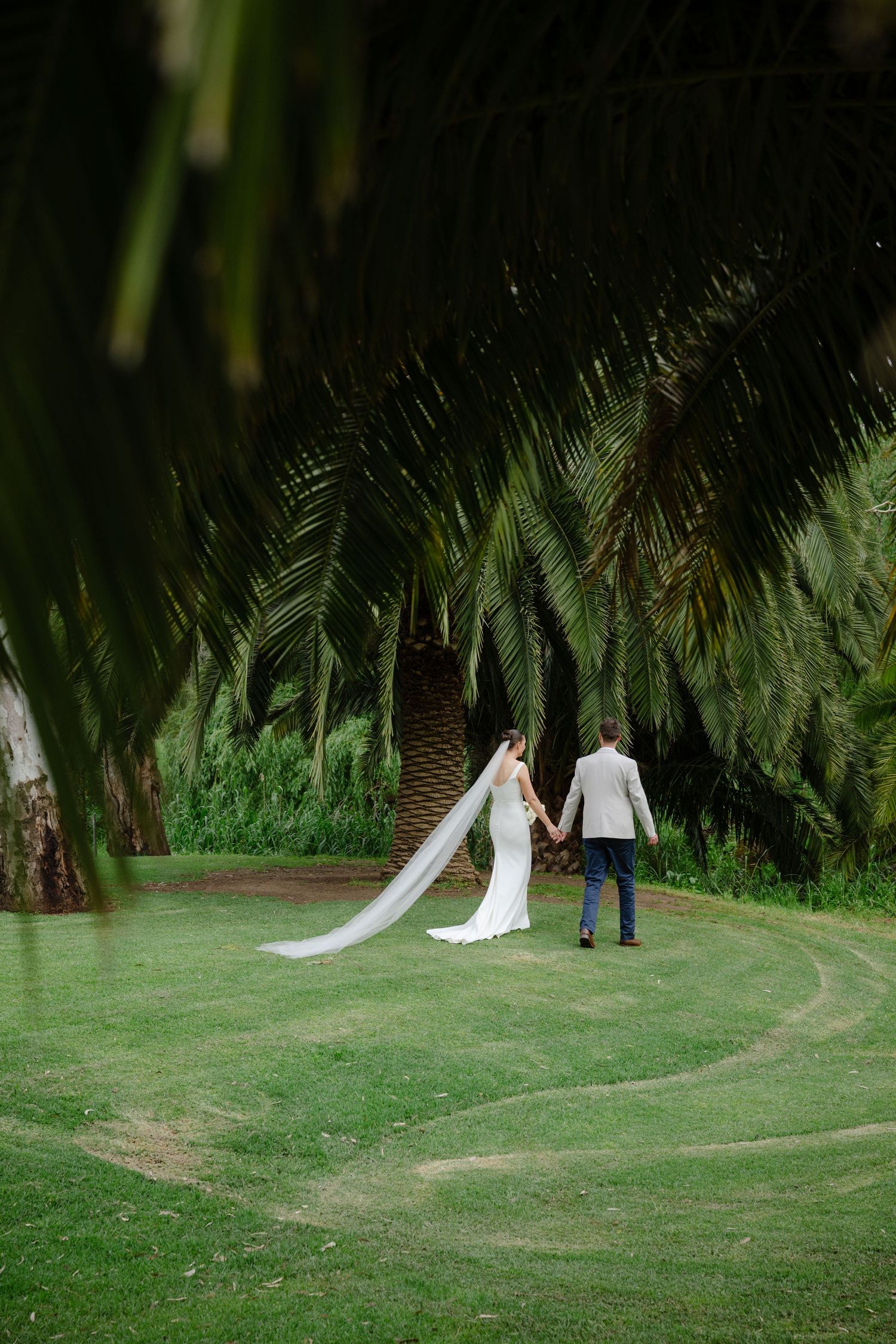 A wedding couple walks through a lush palm garden with a flowing white dress trailing behind them on the green lawn.
