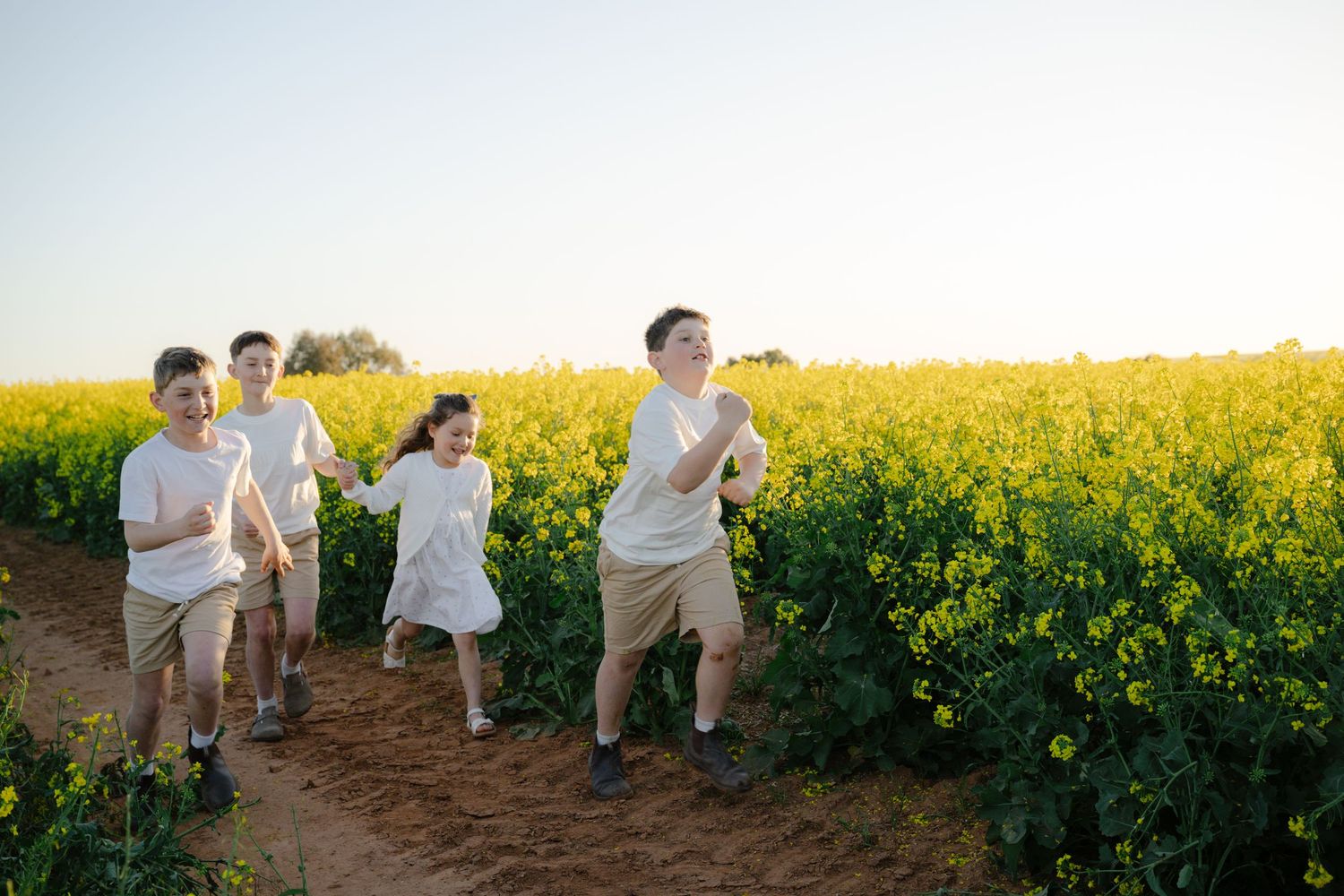 Couple running playfully through a vibrant yellow canola field on a sunny day.