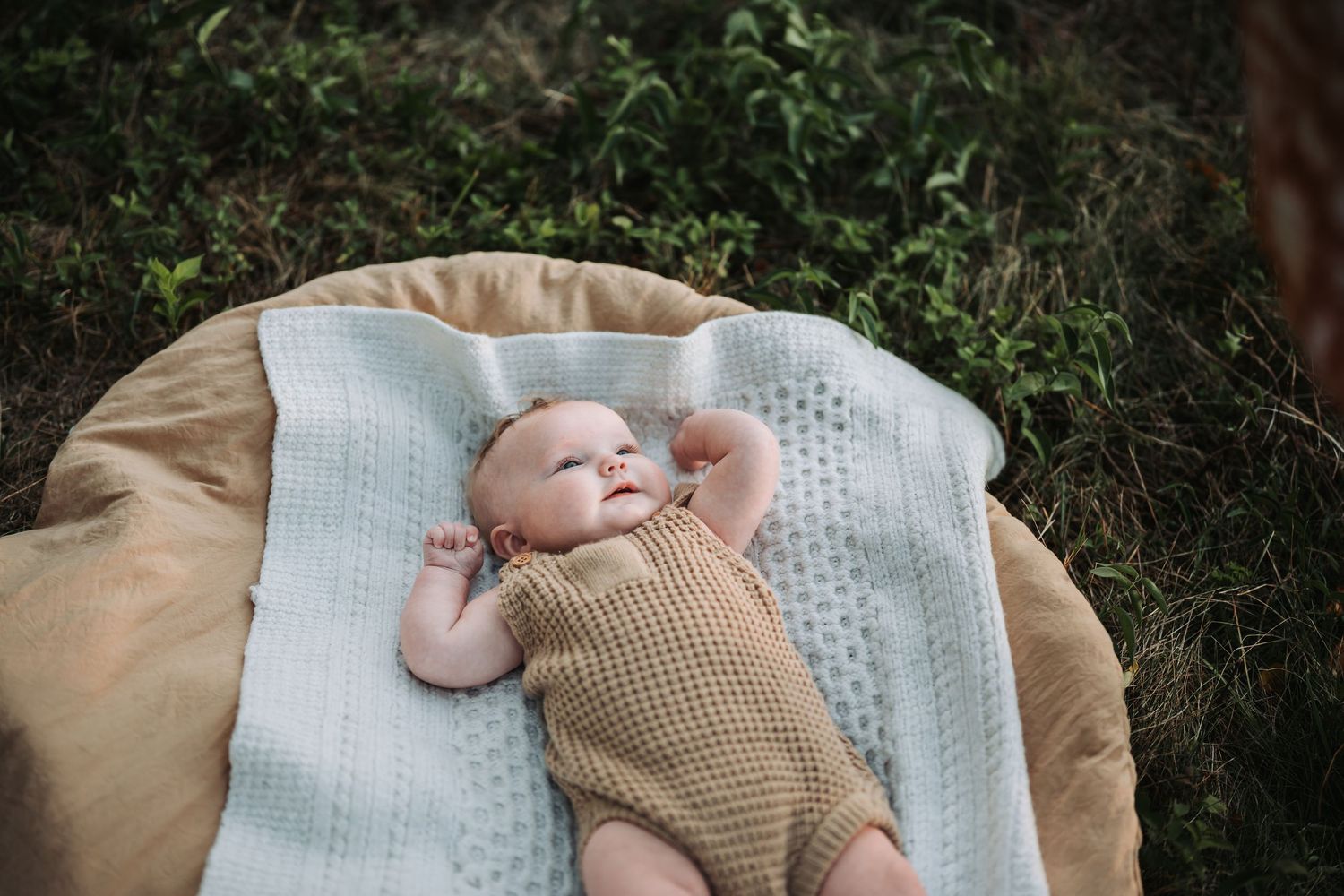 Baby resting peacefully on beige cushion surrounded by greenery.