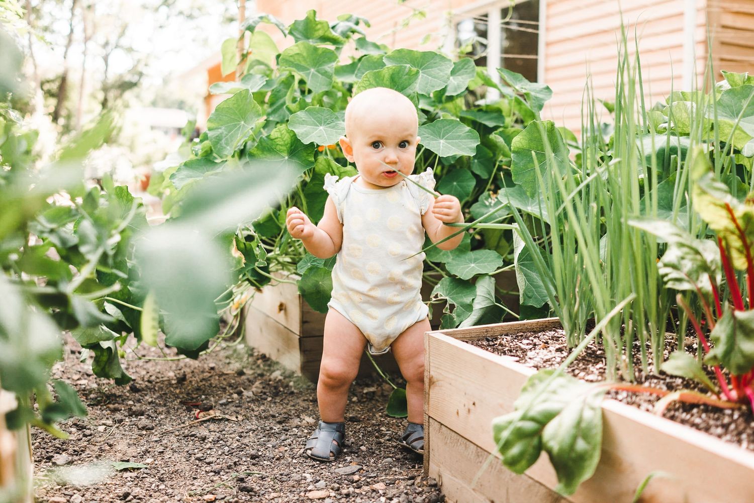 A toddler exploring a backyard garden path wearing a cream-colored romper.