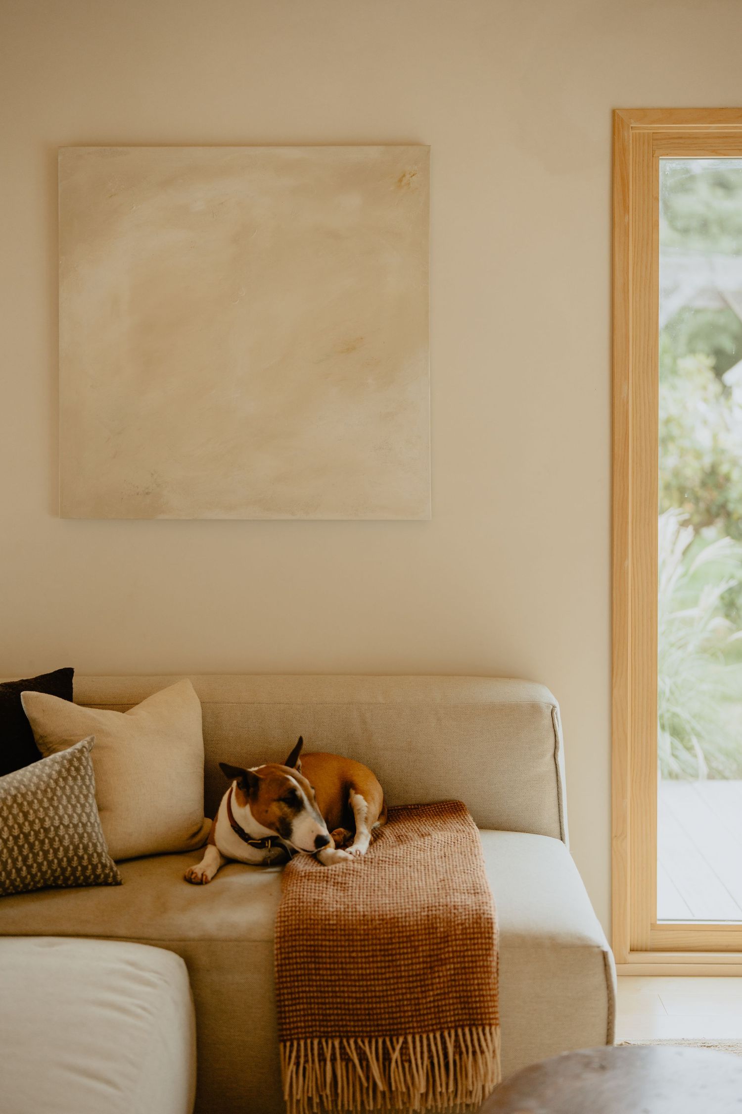 A cozy living room with a beige couch, throw pillows, and a sleeping dog.