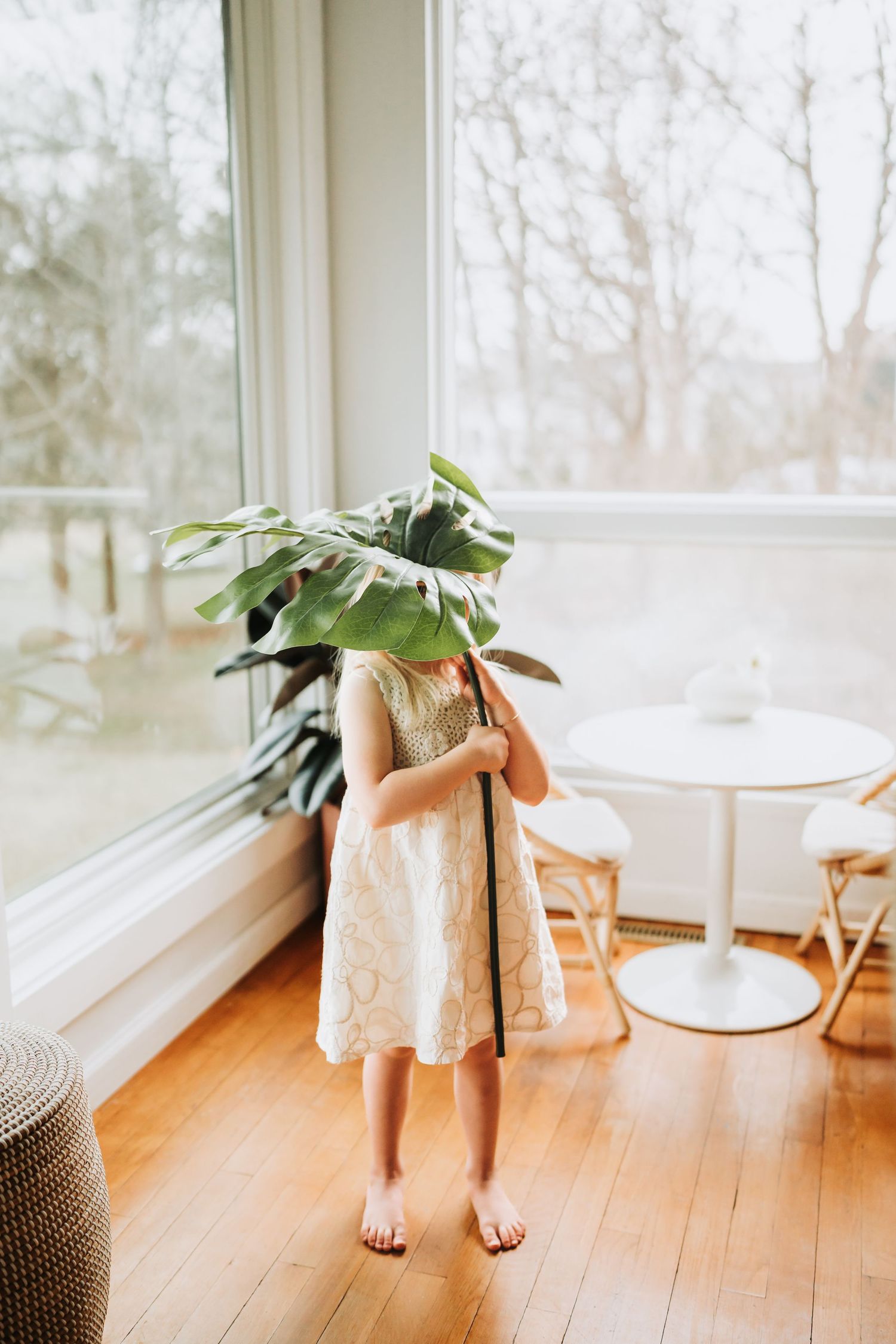 Barefoot girl in white dress hiding face behind large tropical leaf near sunny window.