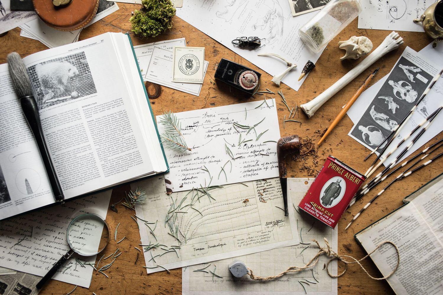 Overhead view of vintage maps, books, and travel planning materials spread across a wooden desk.
