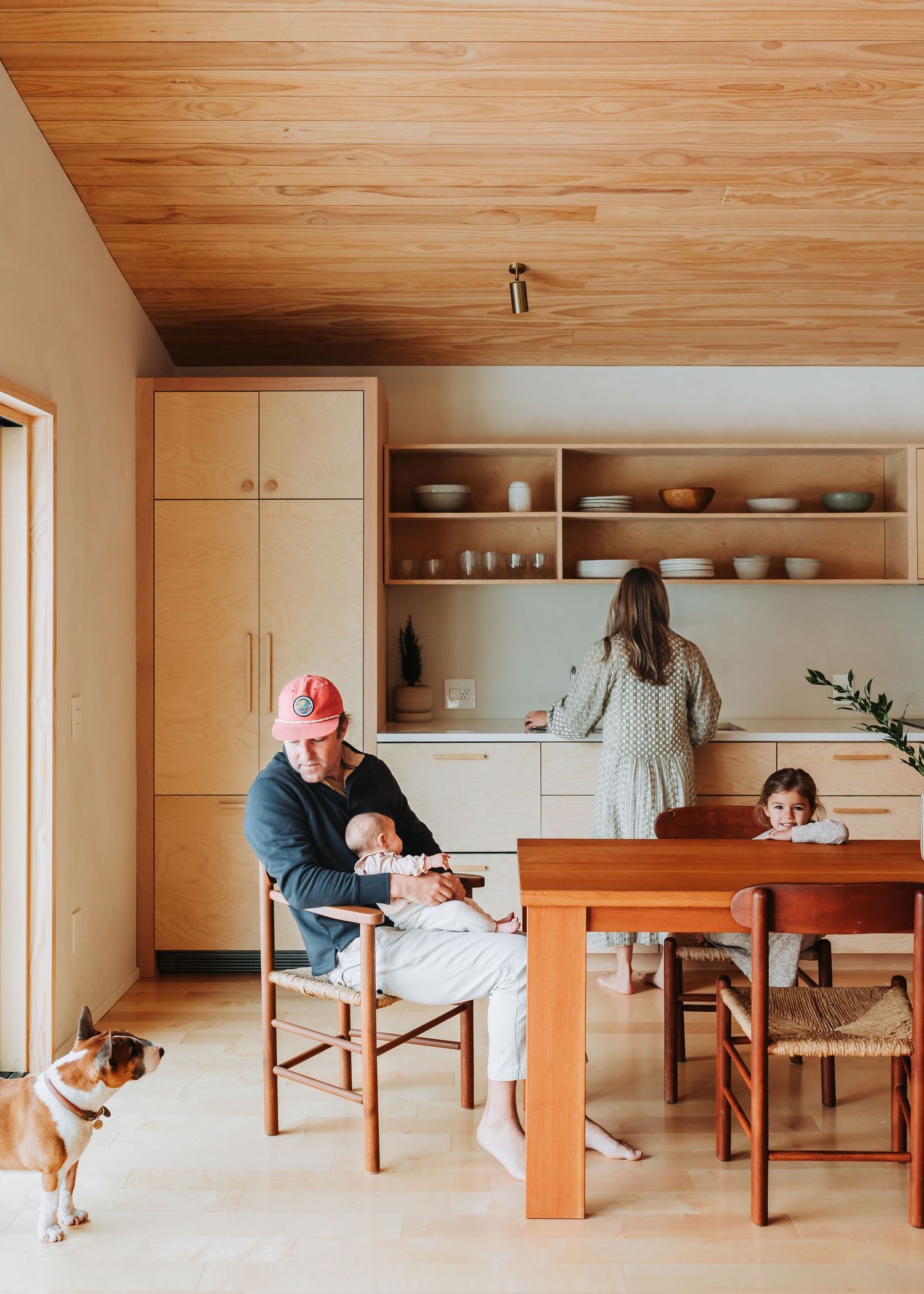 Modern minimalist kitchen with wood ceiling, built-in shelving, and dining table with small dog nearby.
