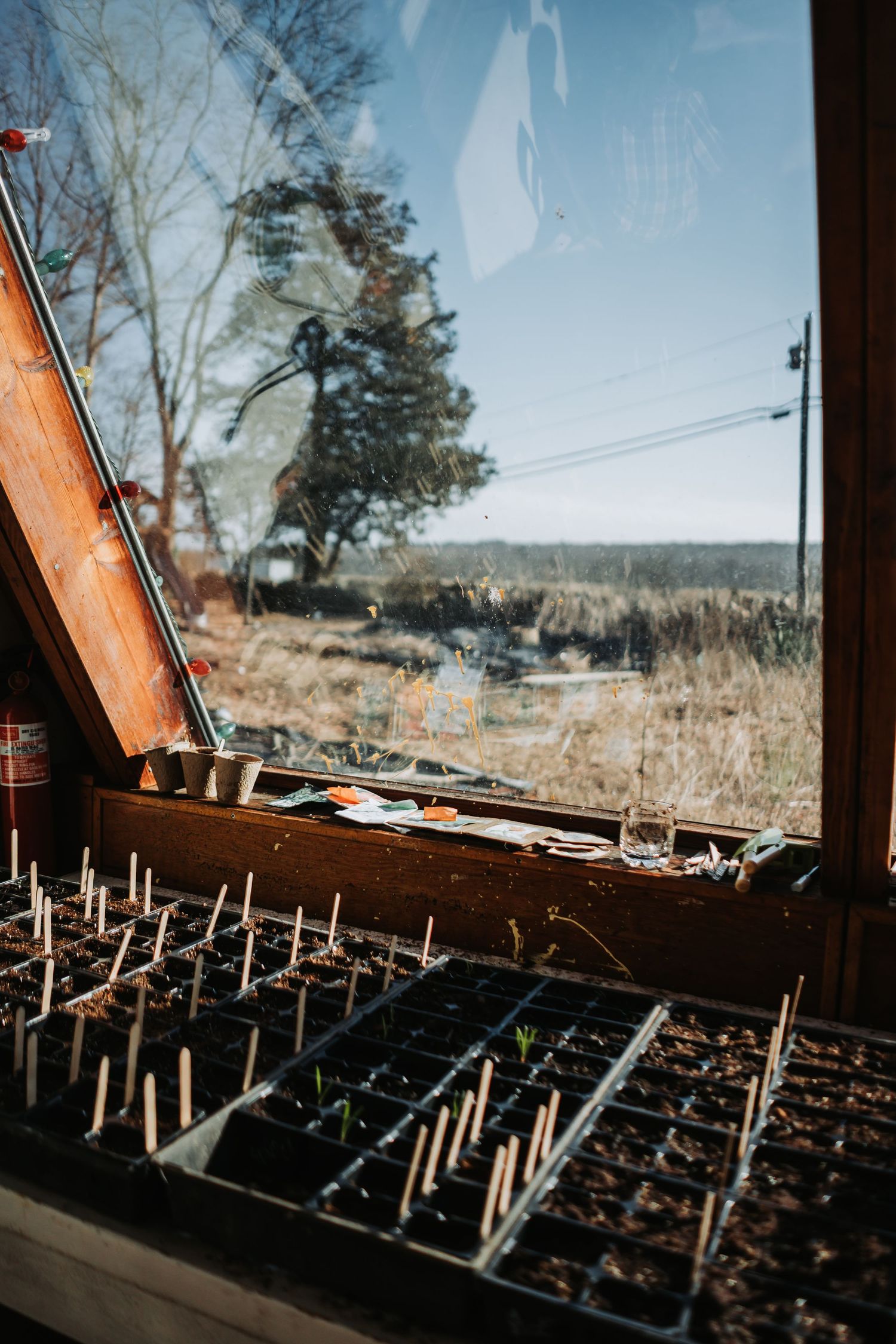 Series of four photos showing an old dilapidated greenhouse interior with broken glass panels and weathered wood frames.