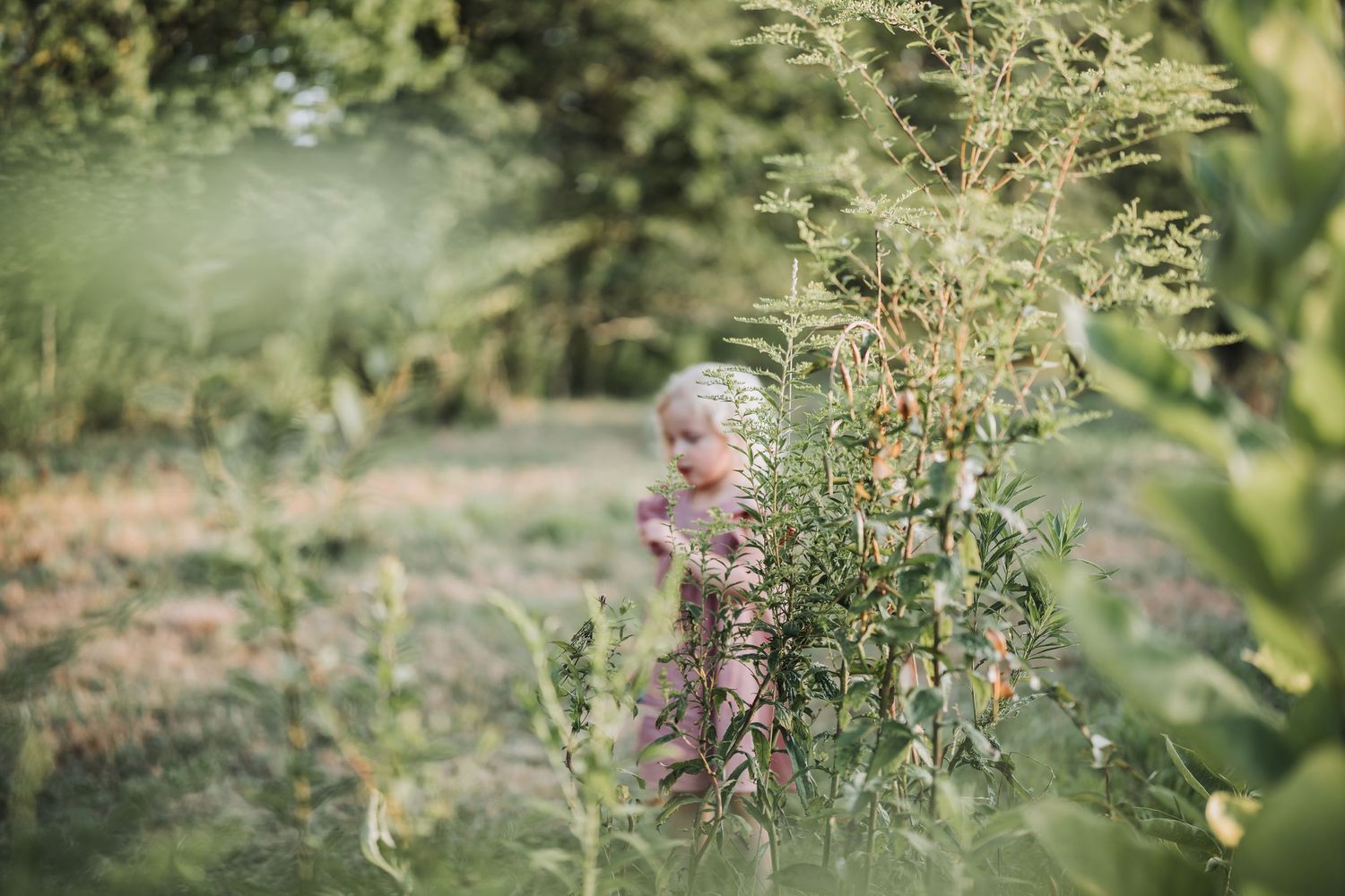Natural outdoor setting with blurred greenery and bokeh effects.