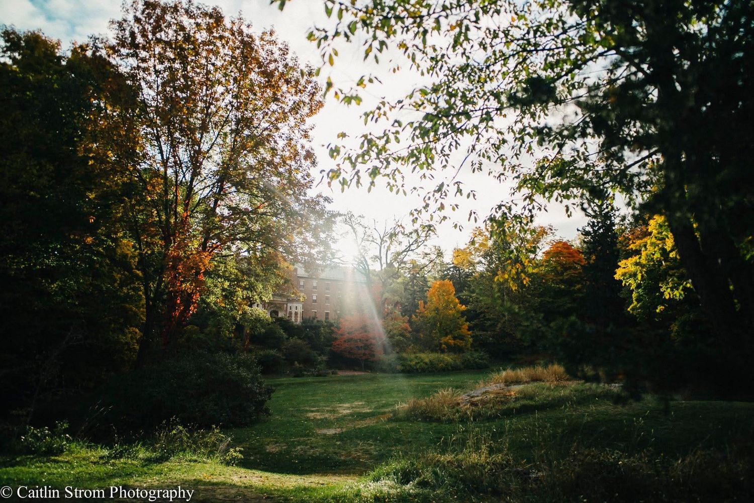 Panoramic autumn landscape with sunlight streaming through colorful fall trees in a tranquil park setting.