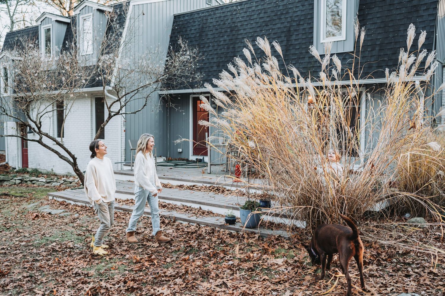 A deer forages in a snow-covered suburban backyard near a white house in winter.