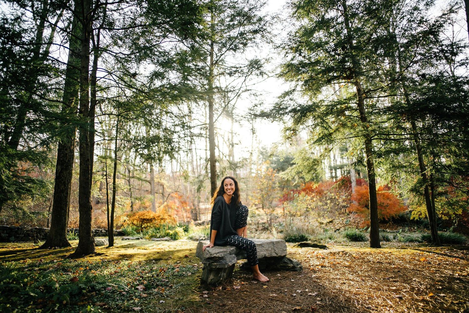 A peaceful portrait of someone sitting on a bench in a sunlit forest during autumn.