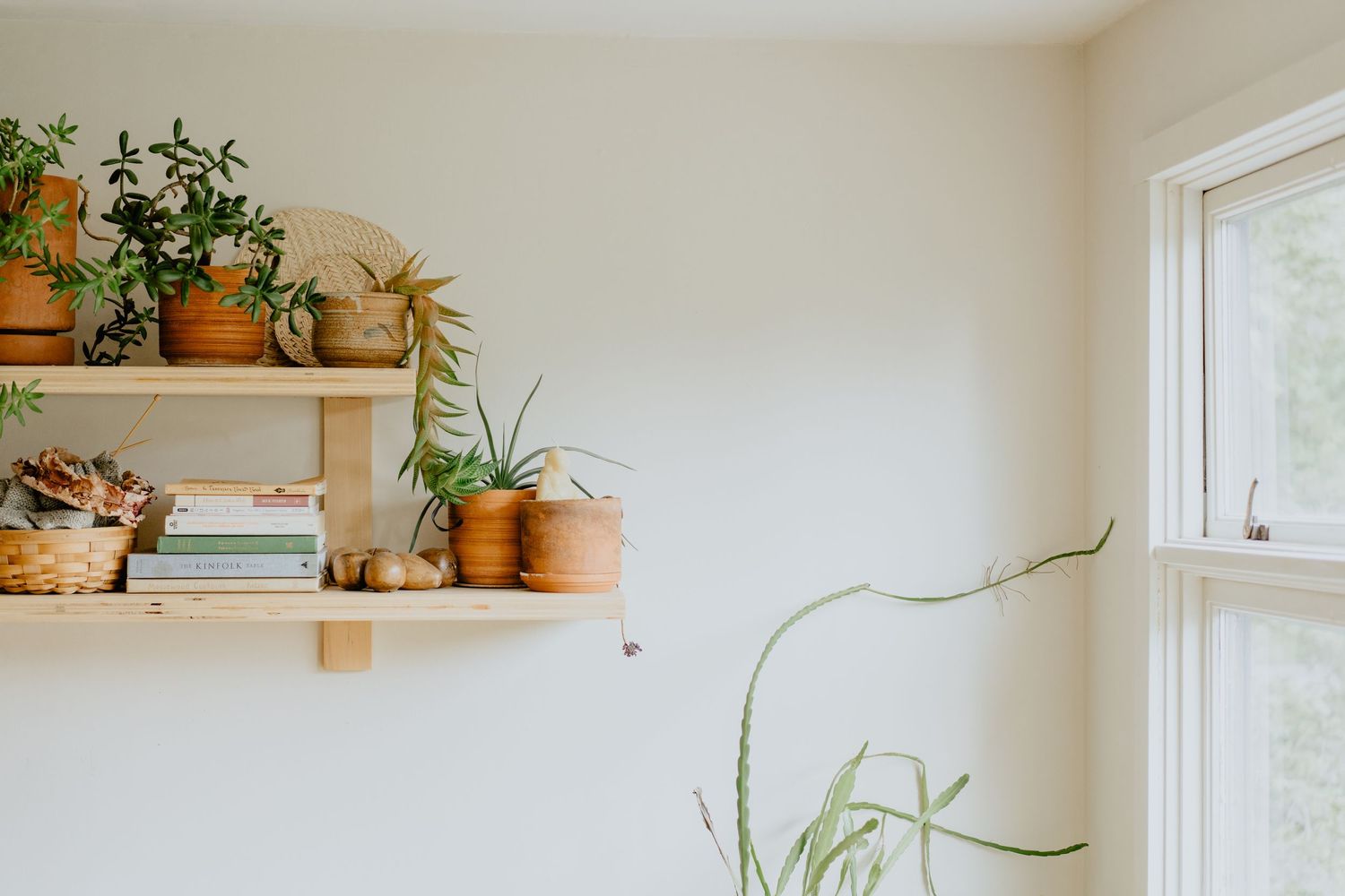 Wooden floating shelves adorned with potted plants and books against a white wall.