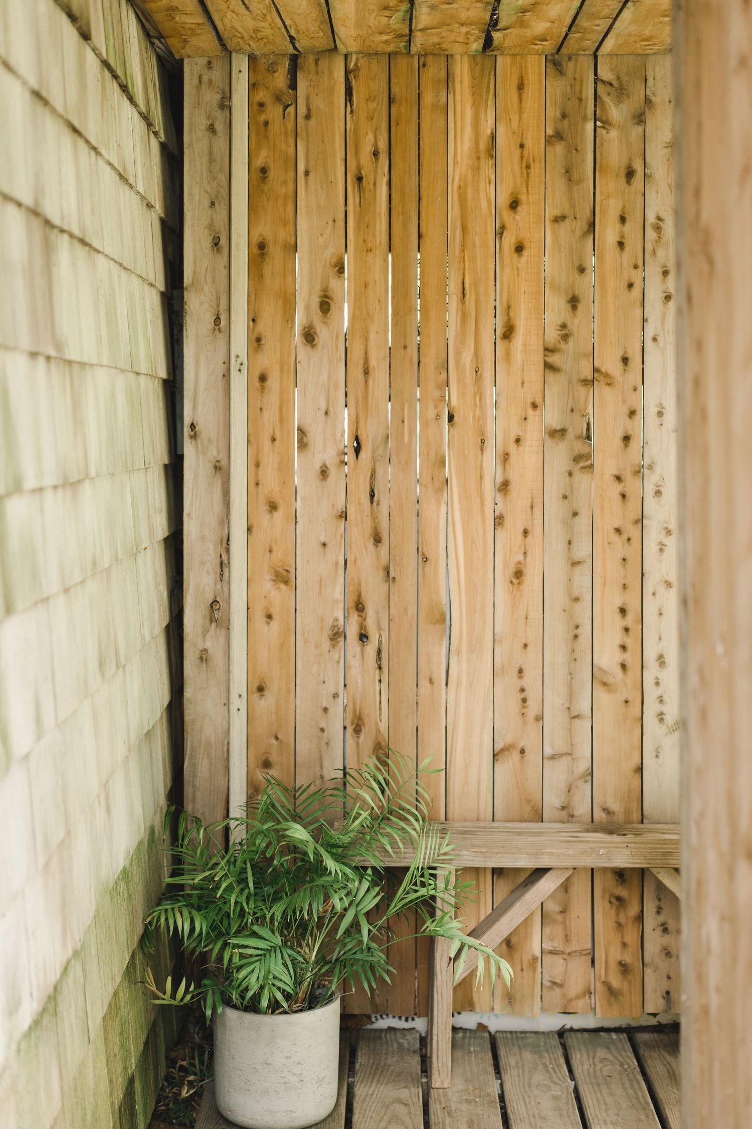 A rustic wooden plank wall with a mounted key holder and potted plant adds natural charm to the interior.