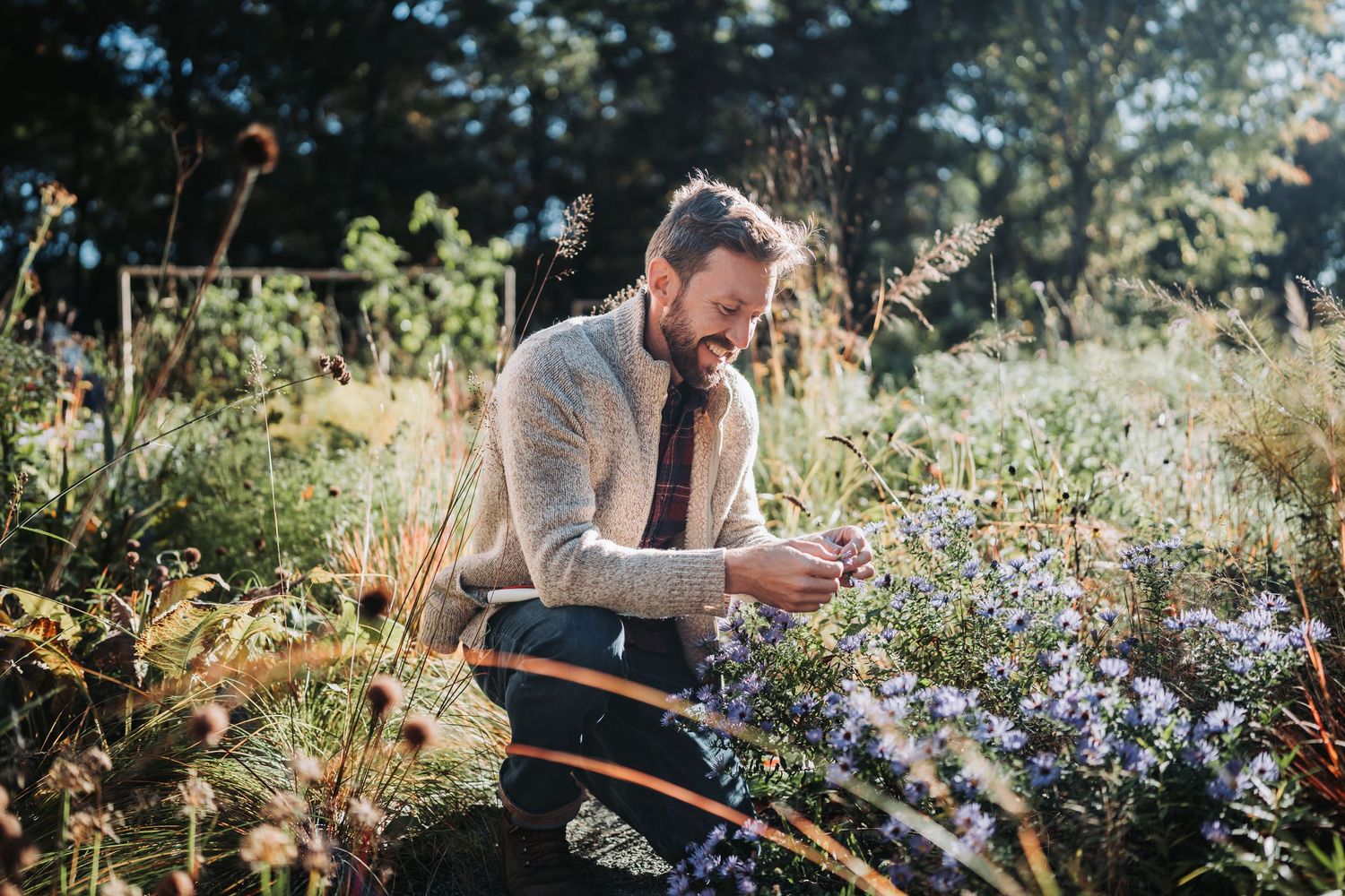 A person in a cardigan and tie examines flowers in a sunlit garden filled with blooming wildflowers.