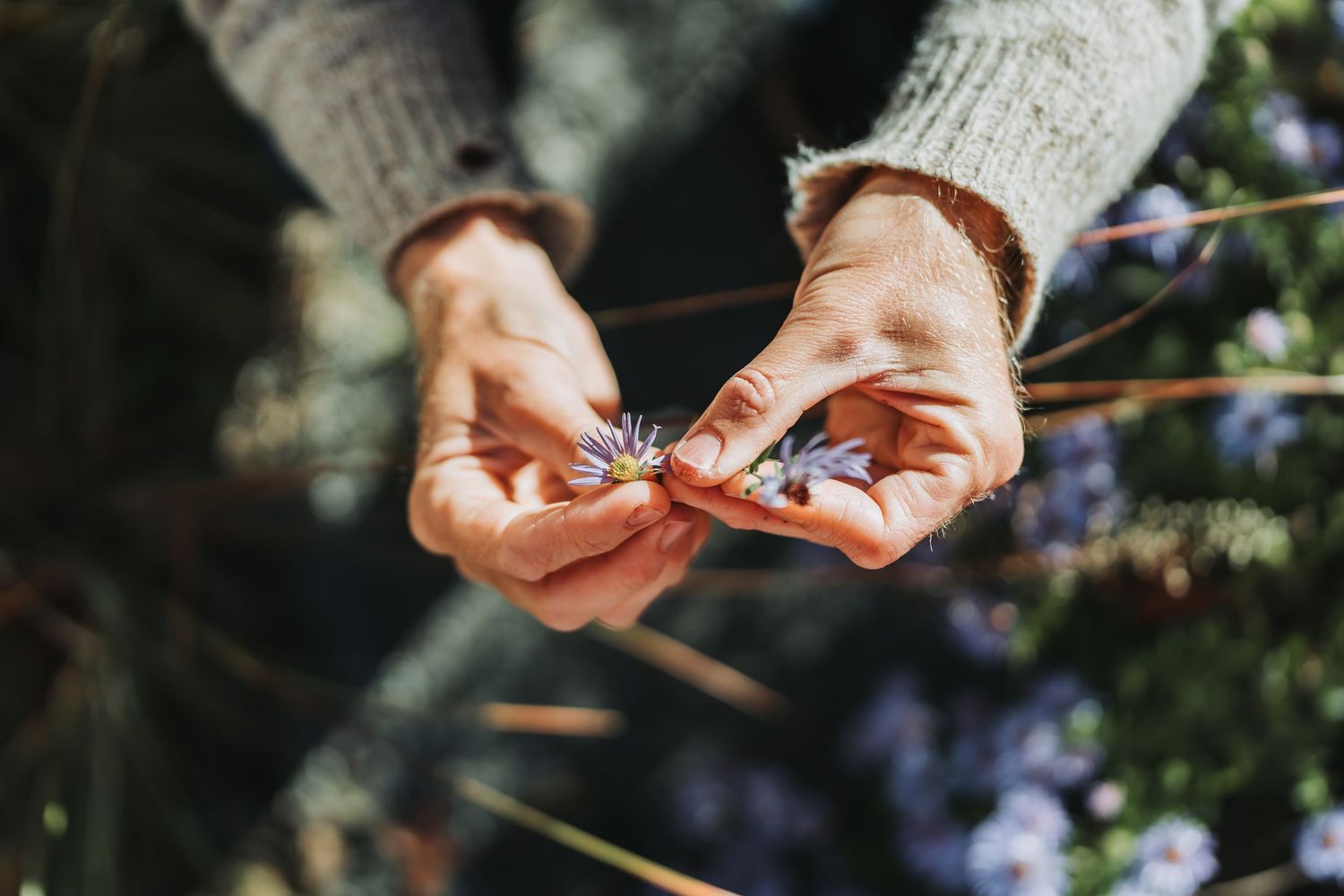 Close-up of hands knitting with gray yarn and wooden needles in a garden setting.