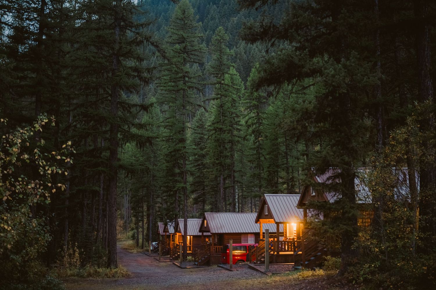 Cozy illuminated cabin nestled in dense forest at dusk with warm glowing lights and pine trees surrounding the property.