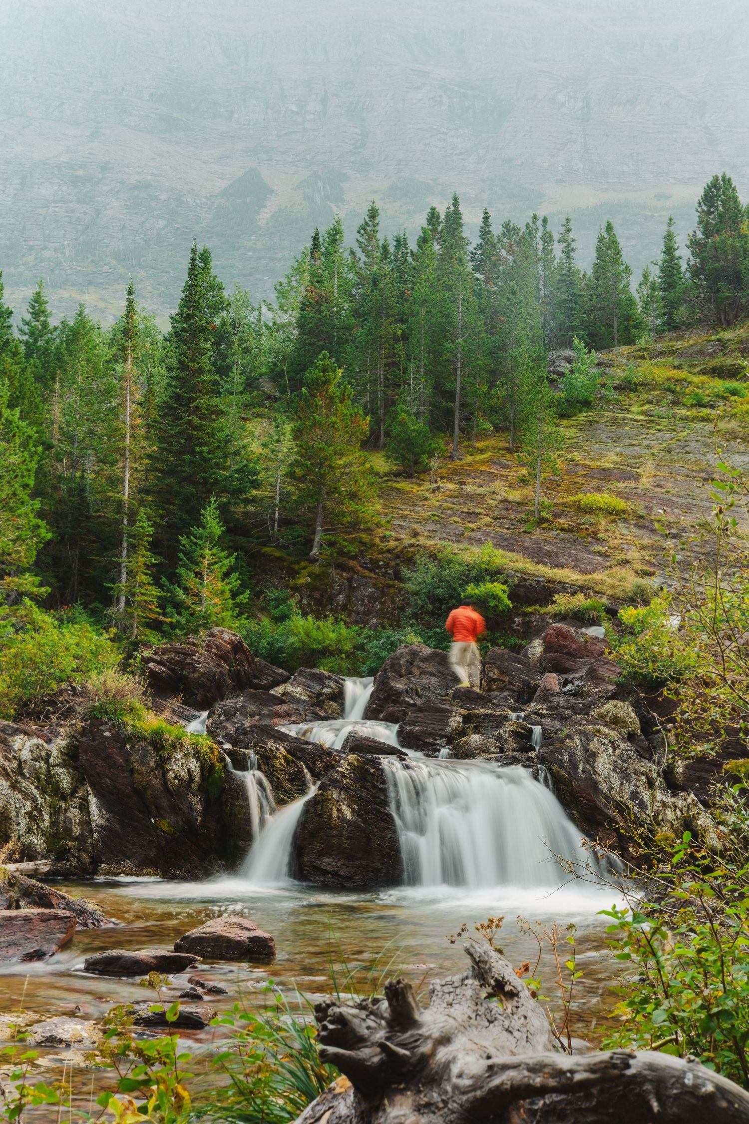 Cascading waterfall surrounded by evergreen trees and rocky terrain in a misty mountain landscape during autumn.