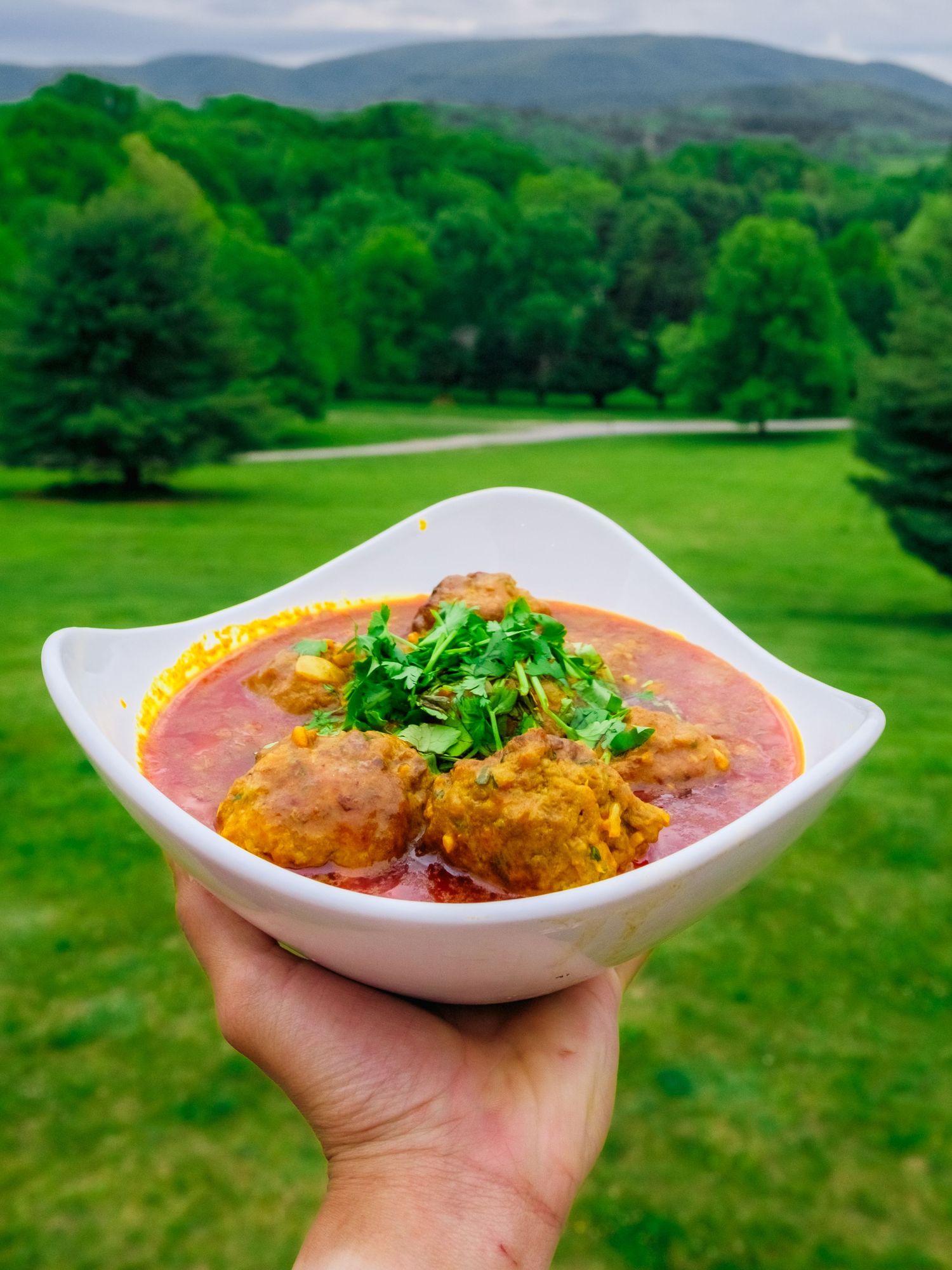 A bowl of curry meatballs in red sauce garnished with herbs against a scenic green mountain landscape background.