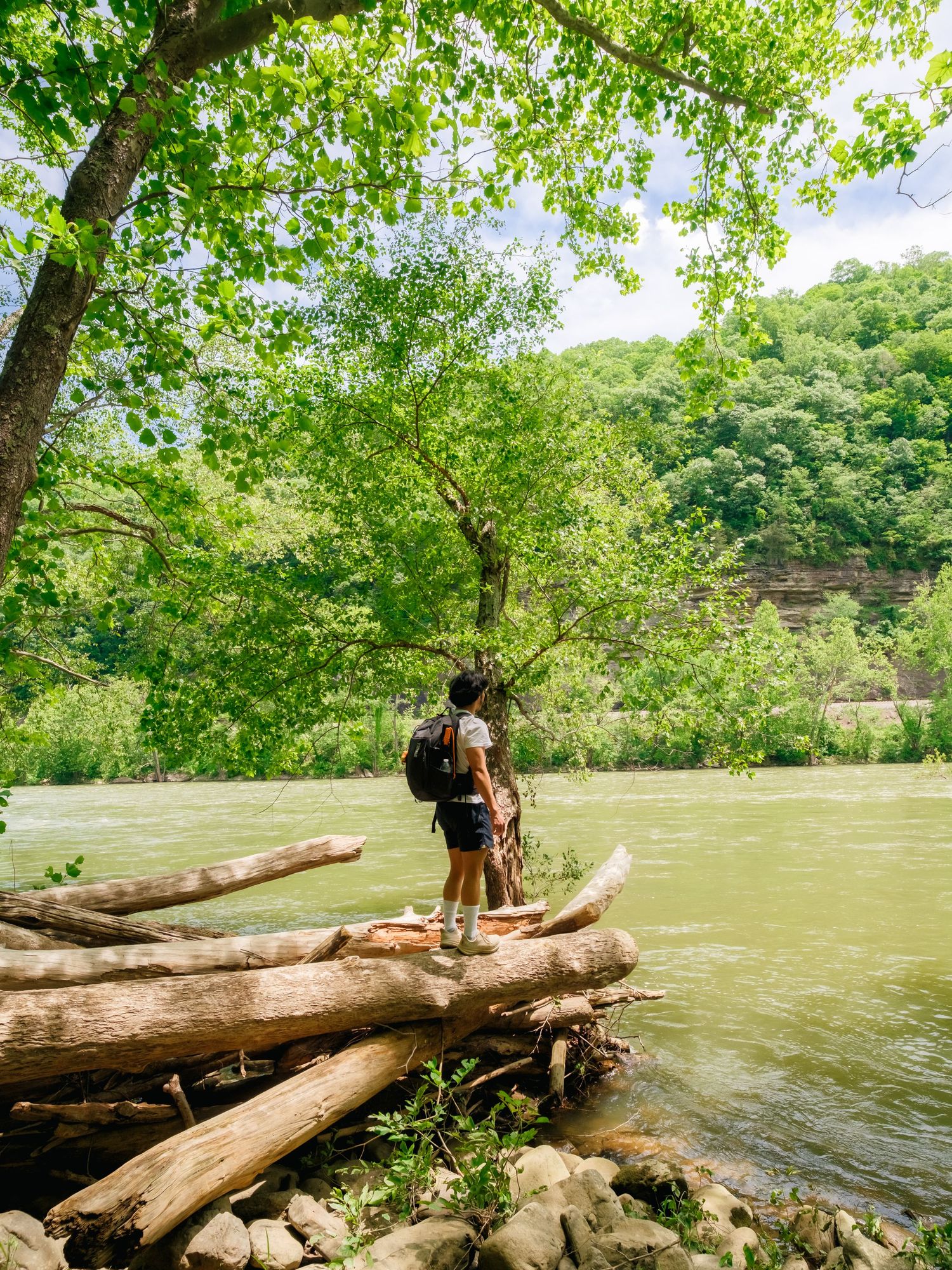 People explore fallen logs along the riverbank at a scenic recreational area during summer.