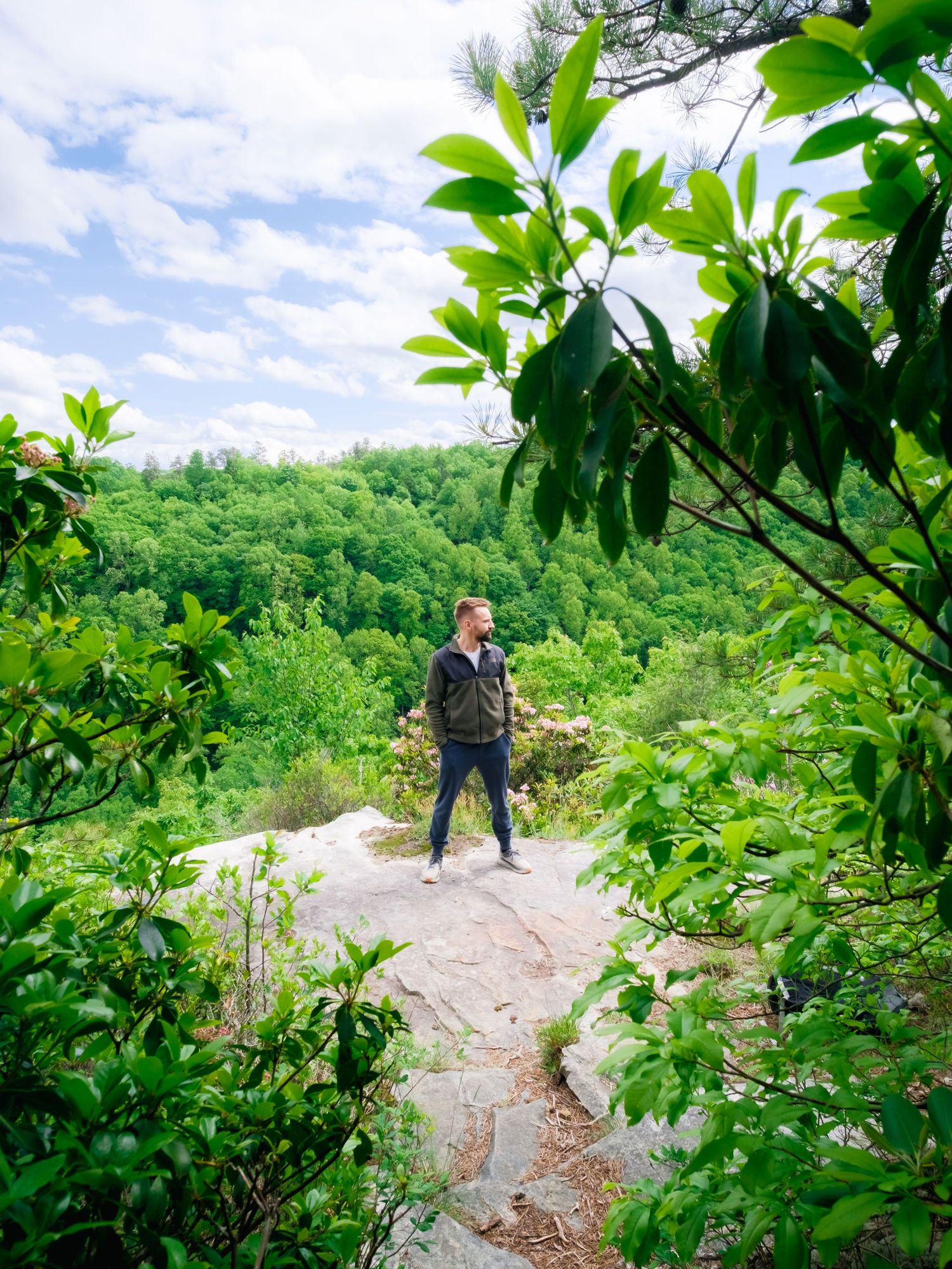 Hikers stand atop a rocky outcrop surrounded by lush green forest canopy on a summer day in the mountains.