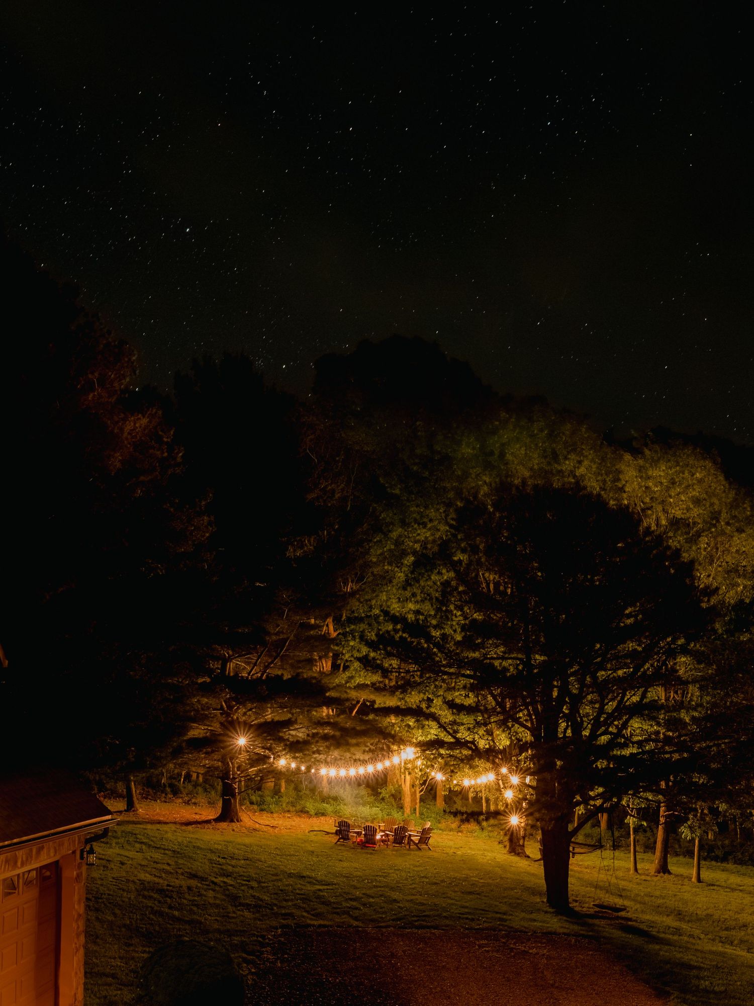 String lights illuminate a peaceful hillside gathering area at night with tall trees creating a cozy outdoor atmosphere.