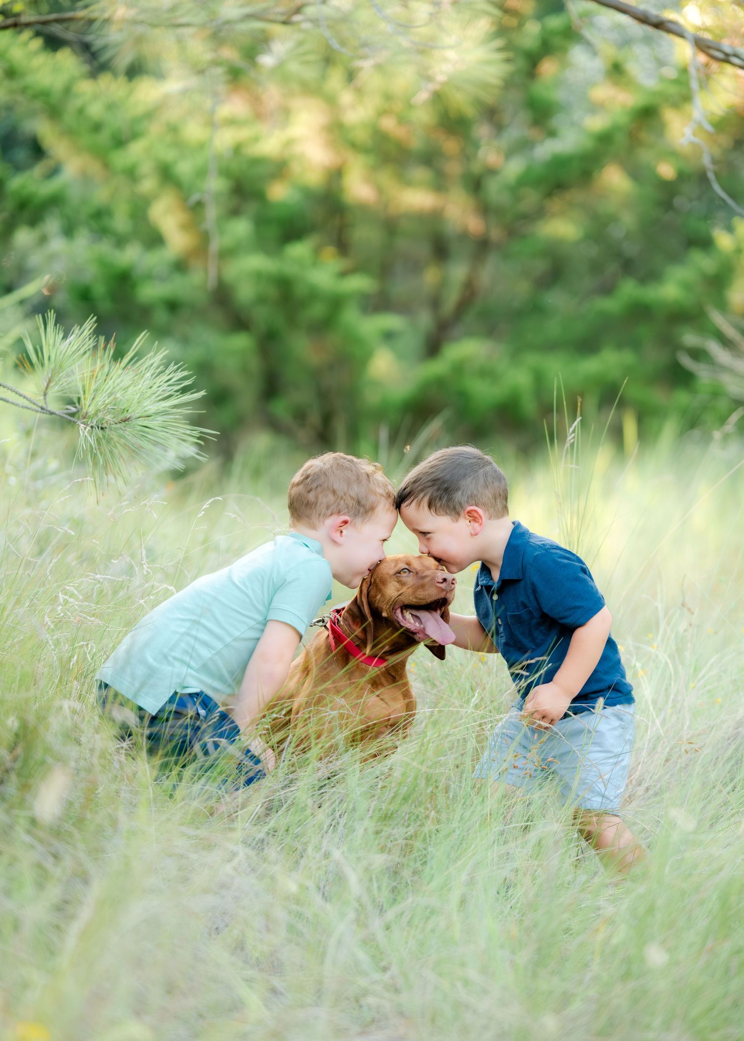 Two children share a sweet moment with their golden brown dog in a field of tall grass on a sunny day.