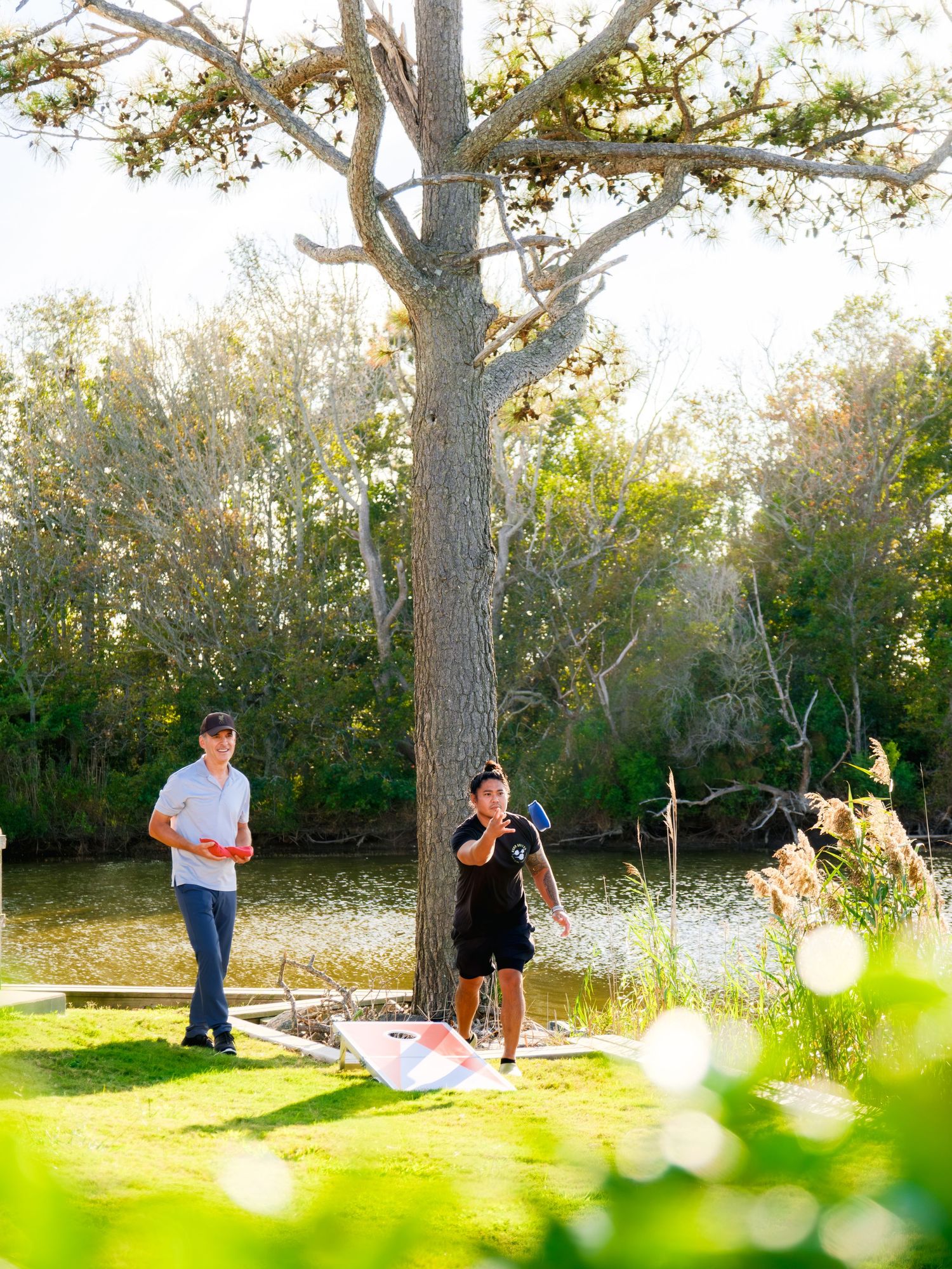 A panoramic view of people enjoying outdoor leisure activities in a sunny park setting with tall trees and greenery.