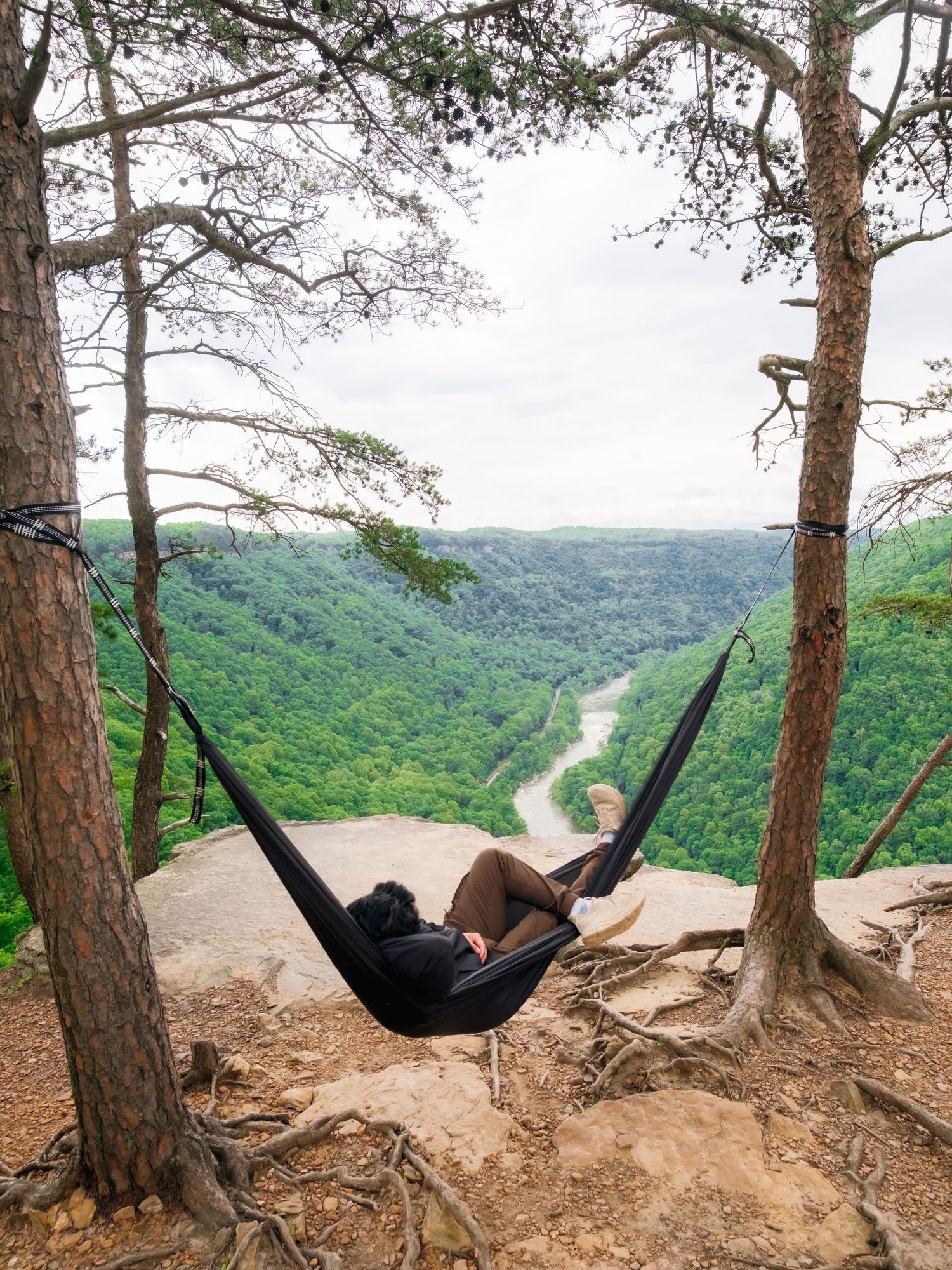 Three hammocks hang between trees overlooking a scenic mountain valley with dense forest canopy below.