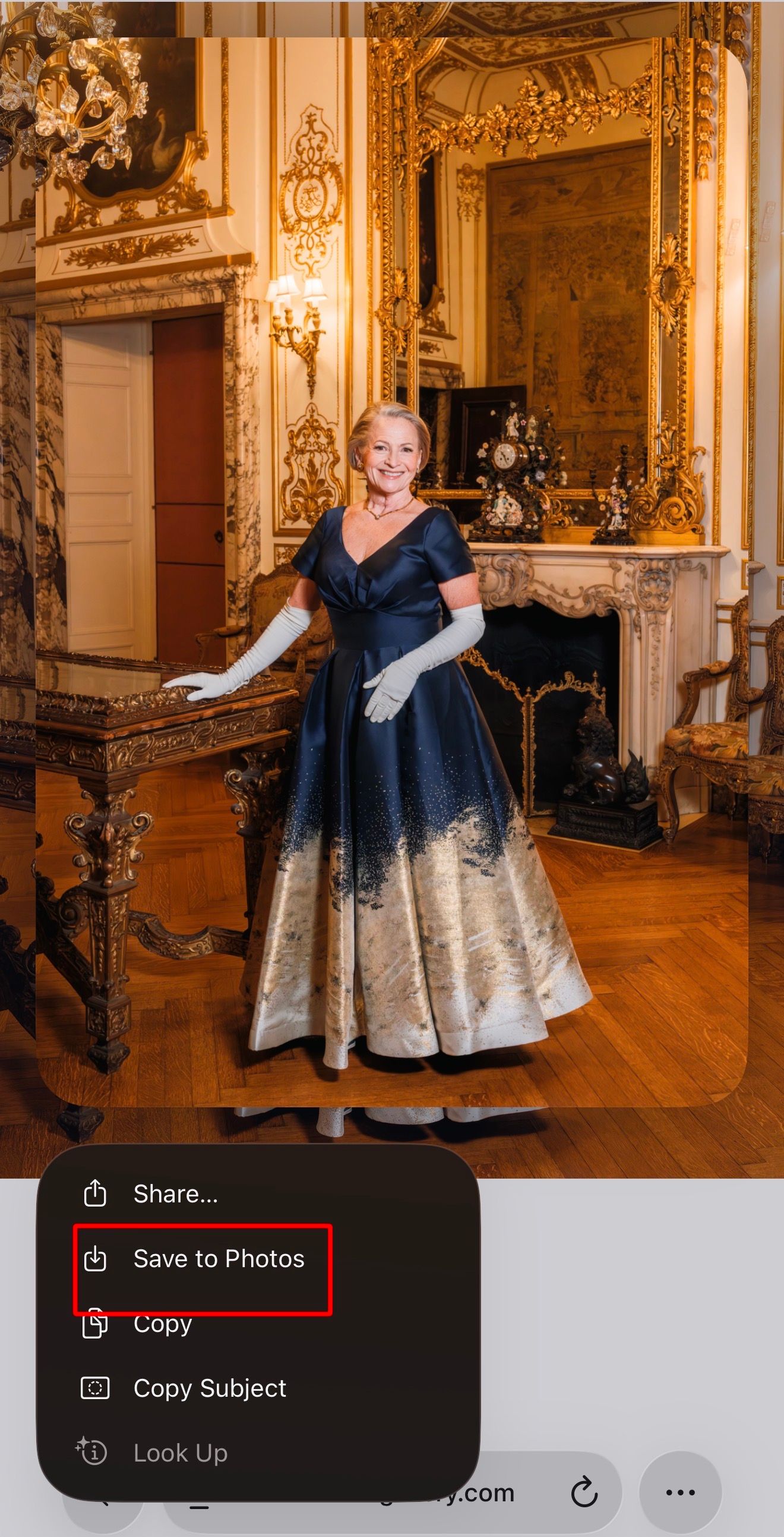Elegant figure in a navy and silver ballgown poses gracefully in an ornate gilded baroque palace room with hardwood floors.