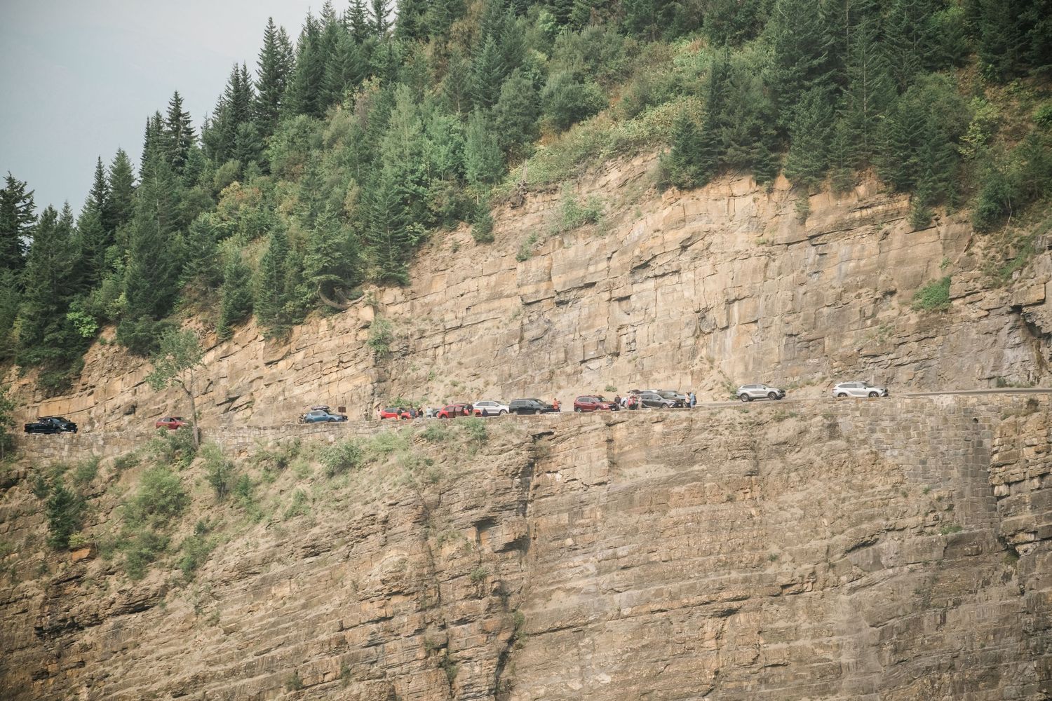 Rocky cliffside with exposed sedimentary layers overlooks a forested mountainside in a scenic landscape view.