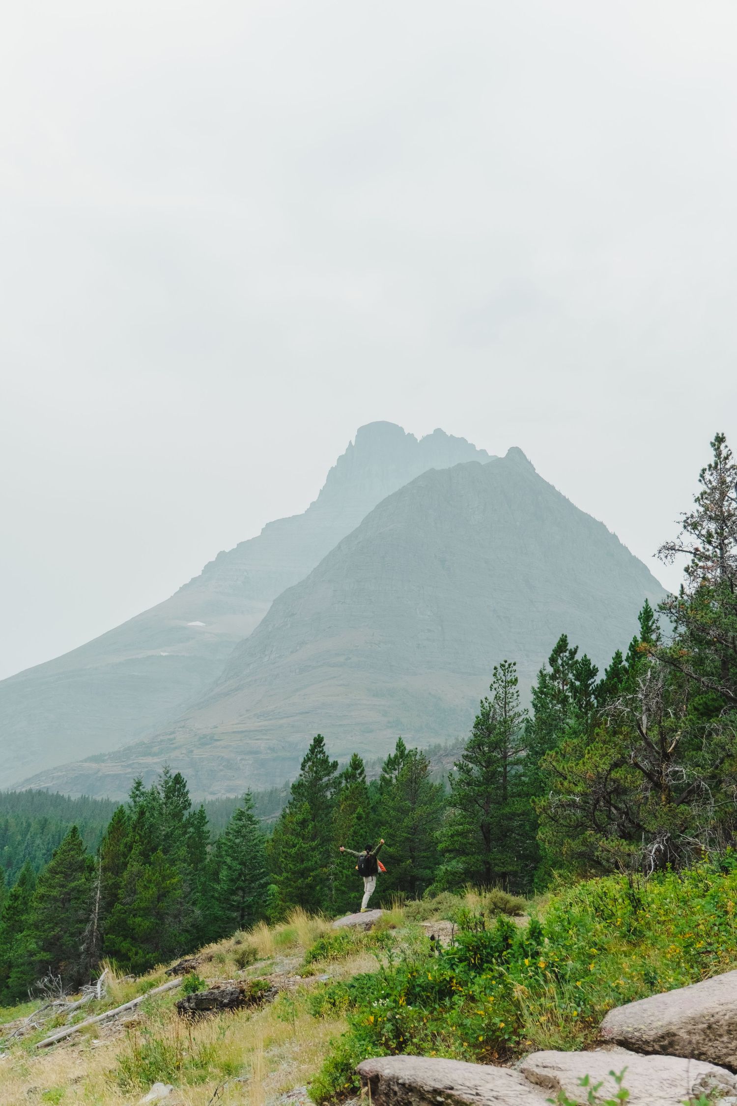 A small figure stands on a hillside overlooking a majestic mountain peak through misty evergreen forest in Glacier National Park.