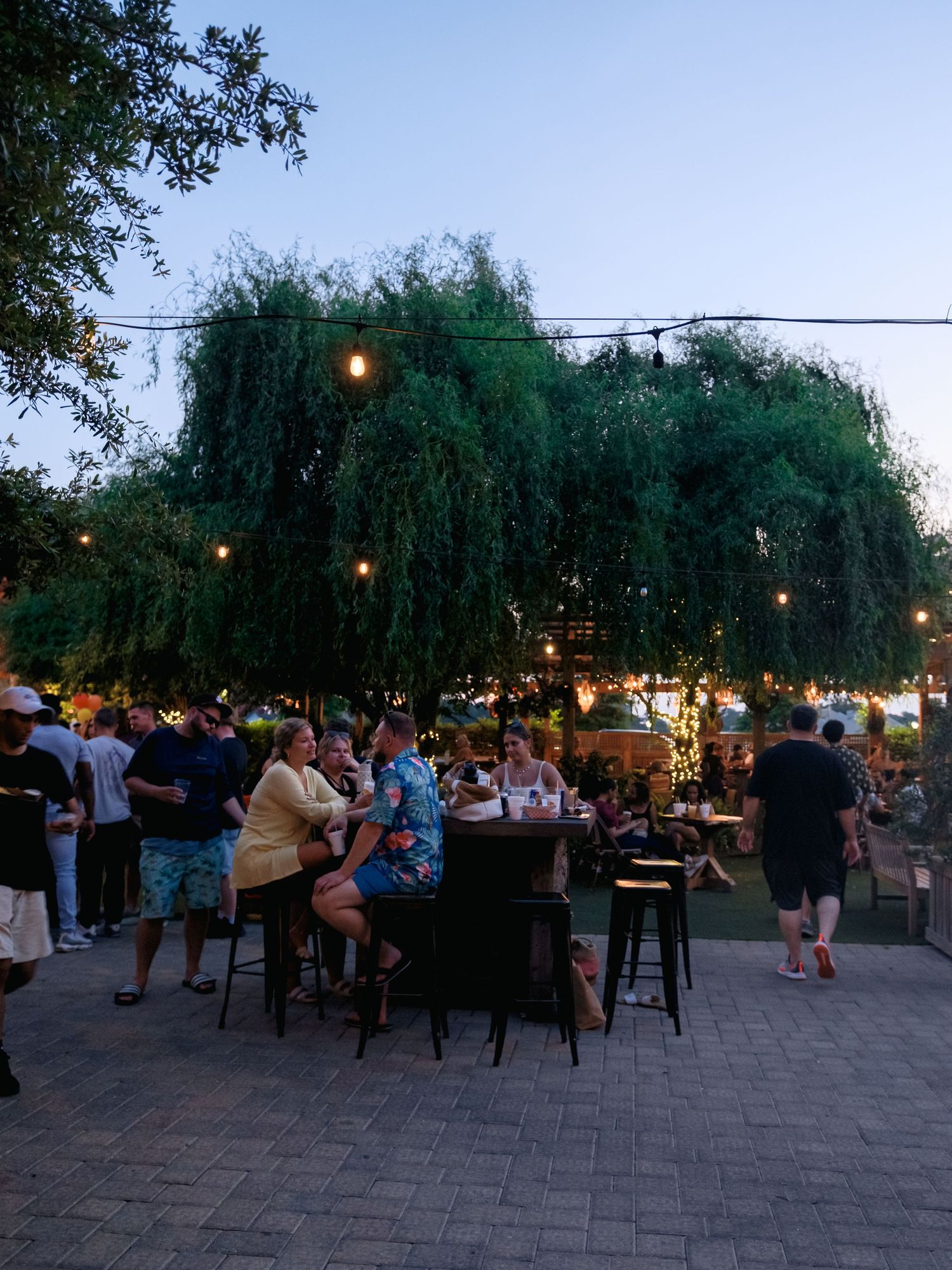 An outdoor patio dining area at dusk with string lights hanging under a large weeping willow tree and guests seated at tables.