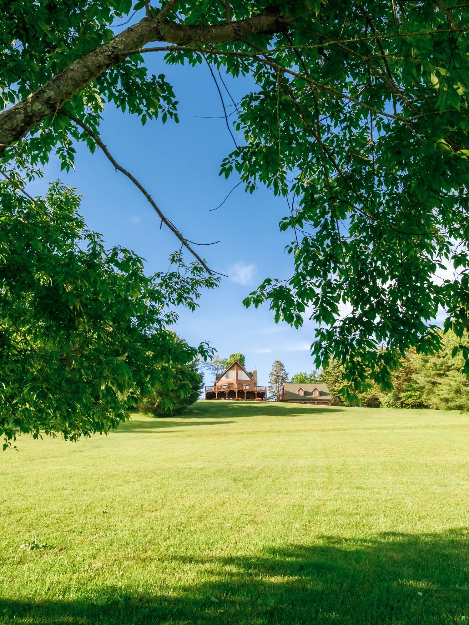 Large green lawn leads to rustic lodge buildings nestled among trees under bright blue summer sky.