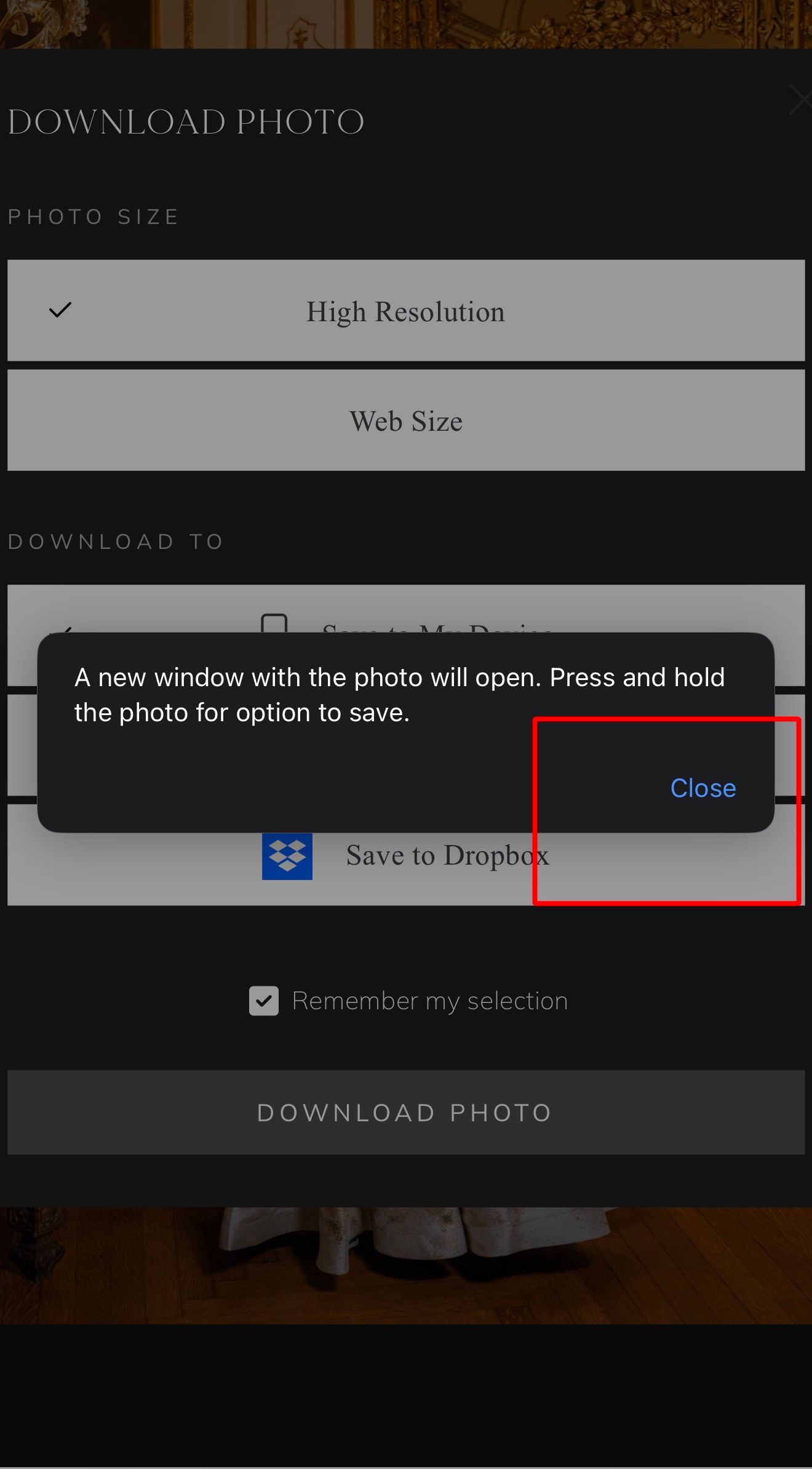A photo download interface showing resolution options and a Dropbox save button with a popup notification message.
