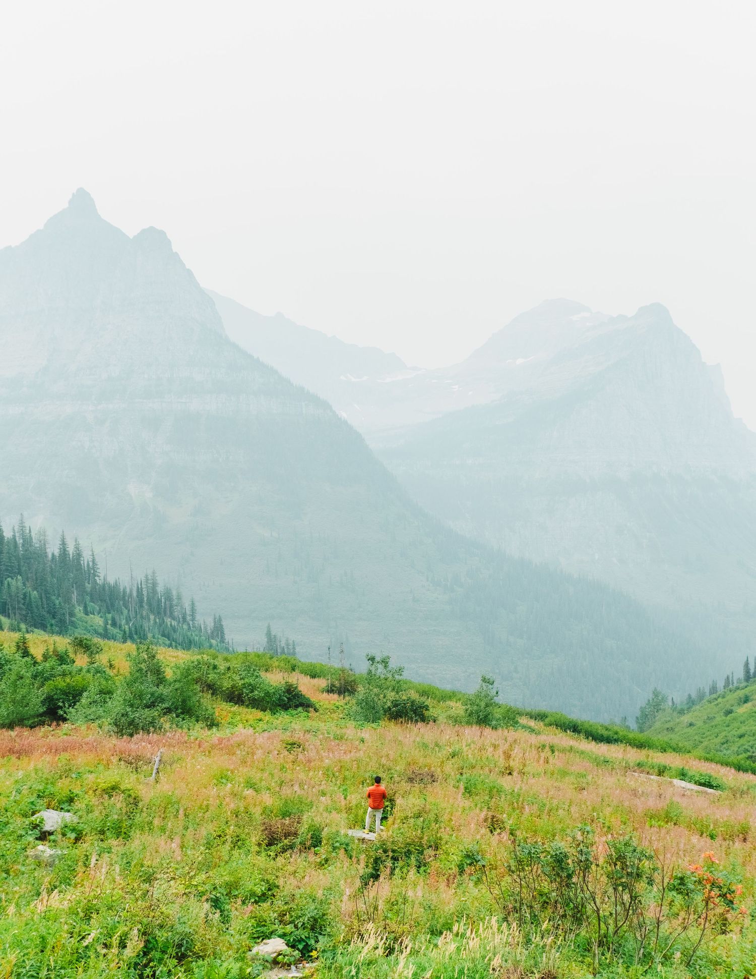 A hiker walks along a scenic mountain trail in Glacier National Park with wildflowers and misty peaks in the distance.