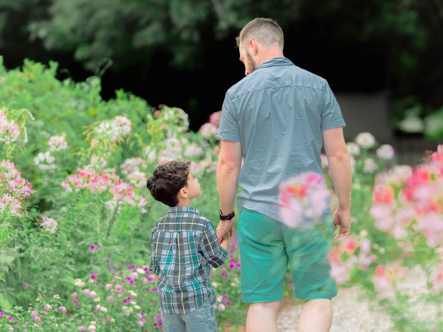 People exploring a lush garden with pink flowers among green foliage on a sunny afternoon.