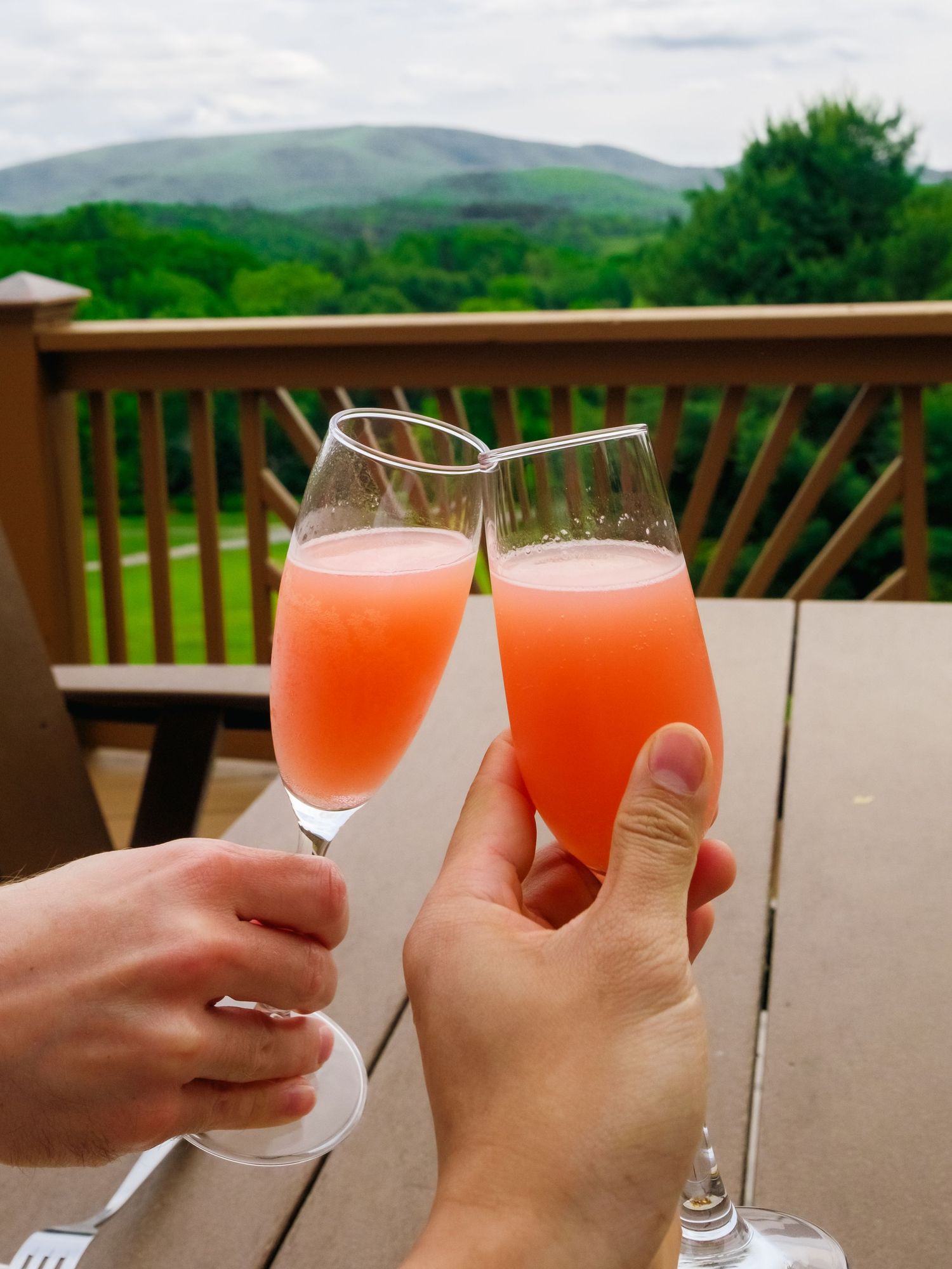 Two hands toasting with champagne flutes filled with pink cocktails on a deck overlooking green mountains.