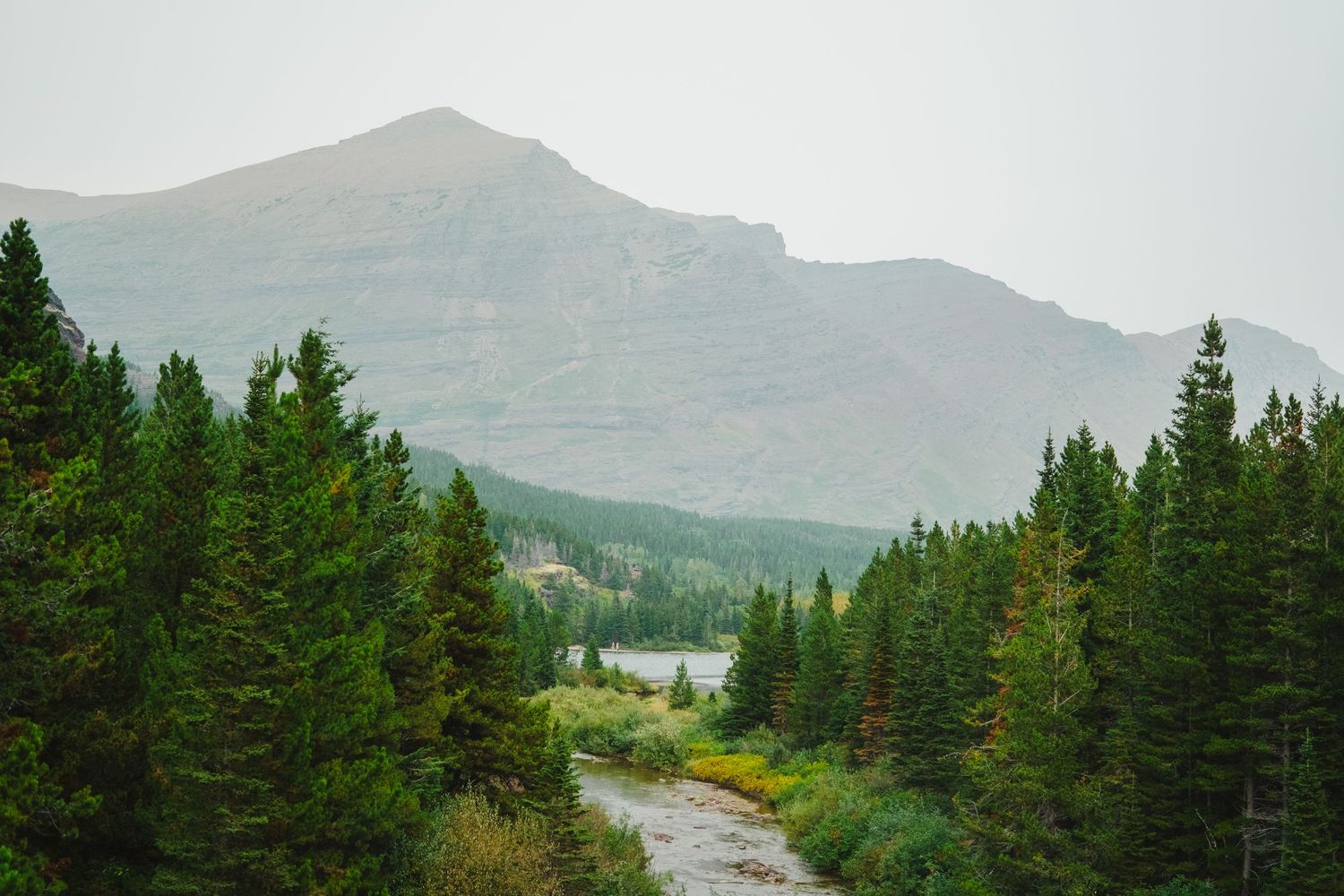 Mountain landscape with foggy rolling hills and evergreen forest stretching into the misty distance.