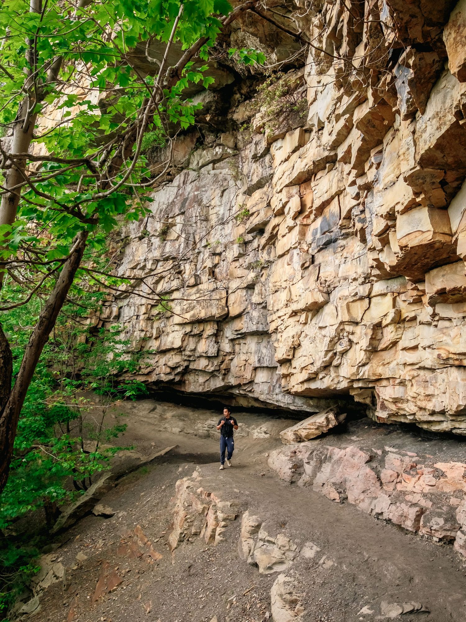 Hiking trail winding beneath towering limestone bluffs and overhanging cliffs in a dense green forest.