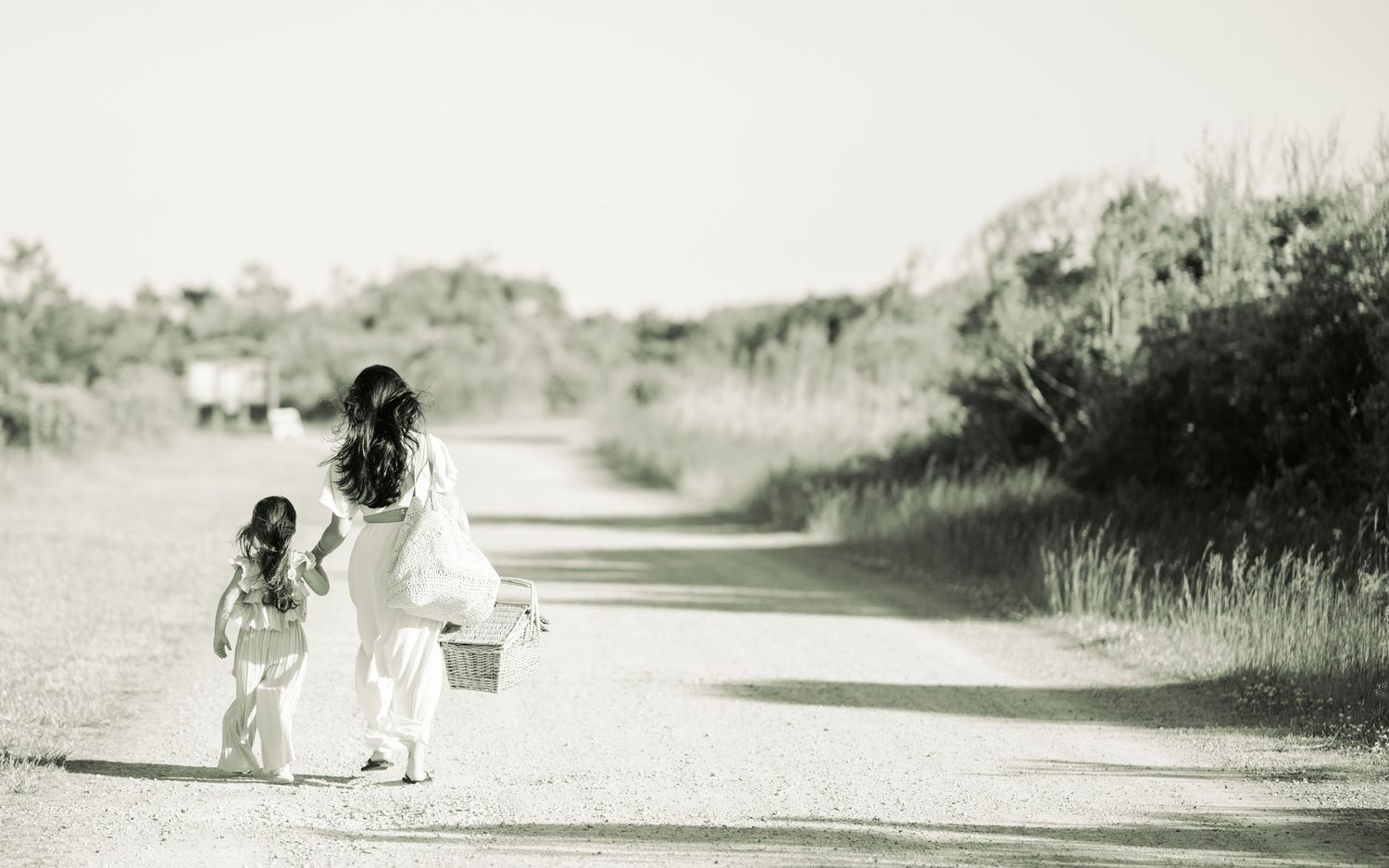 Two individuals walking down a dusty country road carrying a basket on a sunny summer day.